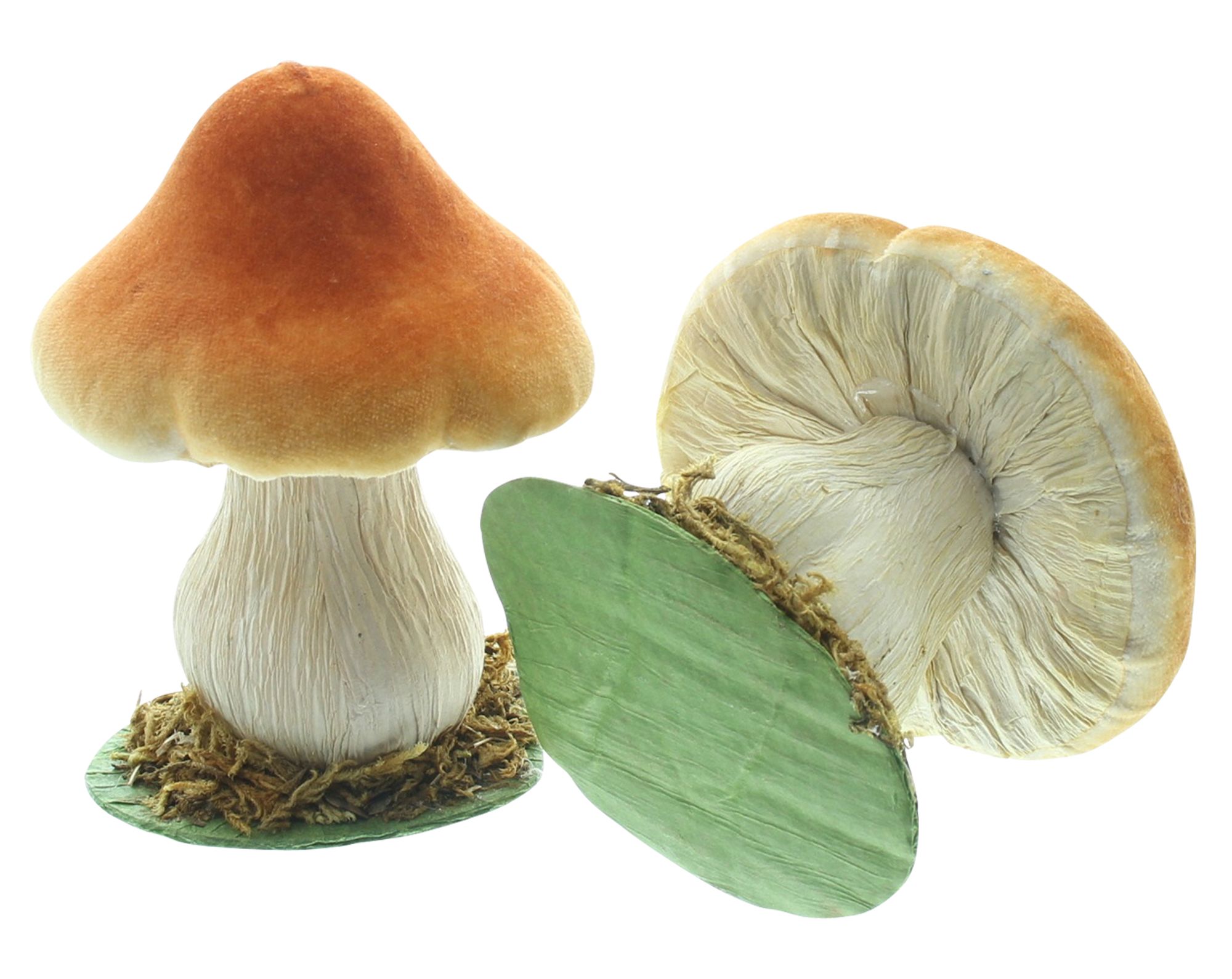 Acheter Décoration d'automne « Petits champignons », lot de 2 dans la boutique en ligne de Frank Flechtwaren pour Champignons