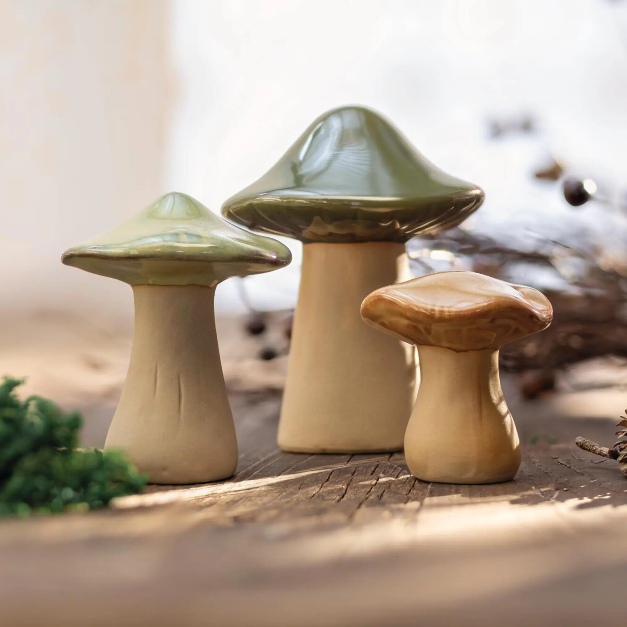 Acheter Champignons décoratifs « Savanna », lot de 3 dans la boutique en ligne de Frank Flechtwaren