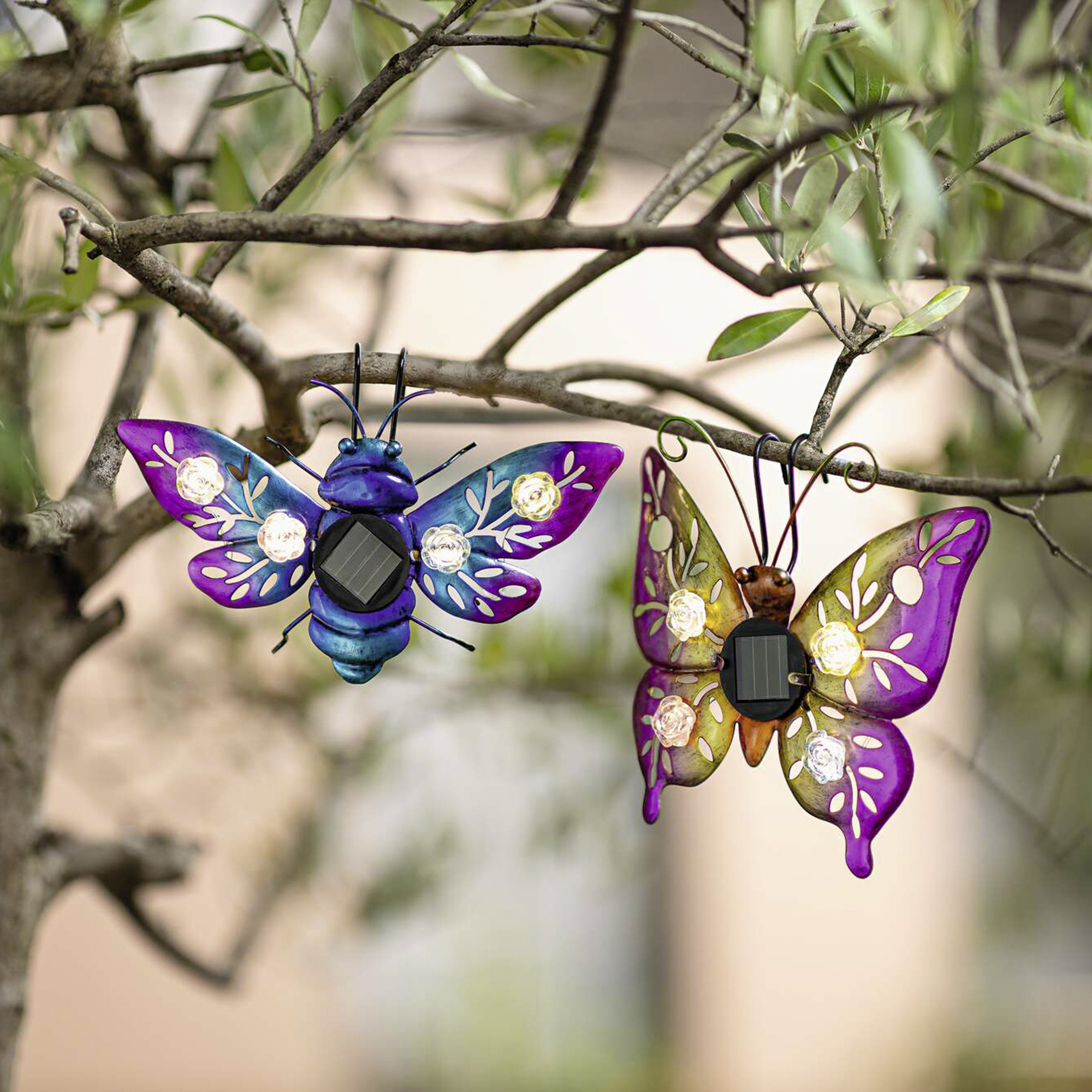 Acheter Lot de 2 décorations solaires "Butterfly &amp; Beetle"  dans la boutique en ligne de Frank Flechtwaren