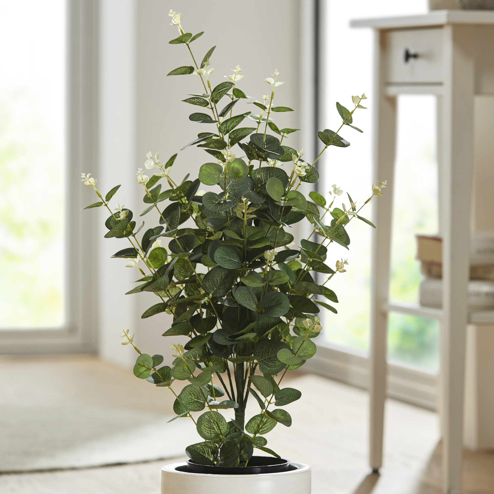 Acheter Plante en pot "eucalyptus" dans la boutique en ligne de Frank Flechtwaren pour Pâques Acheter Plante en pot "eucalyptus" dans la boutique en ligne de Frank Flechtwaren pour Pâques