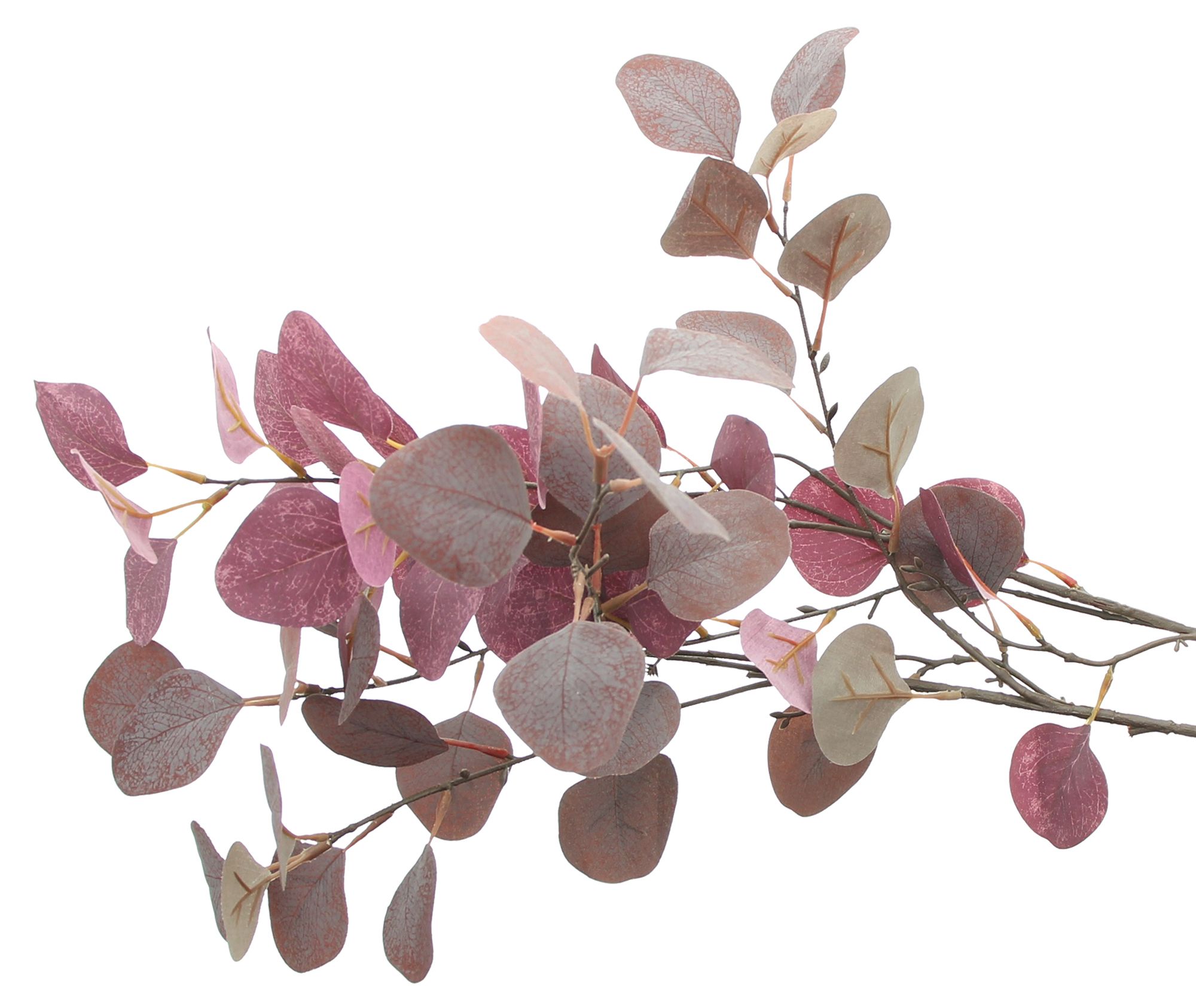 Acheter Lot de 2 branches d'eucalyptus "mauve"  dans la boutique en ligne de Frank Flechtwaren pour Automne