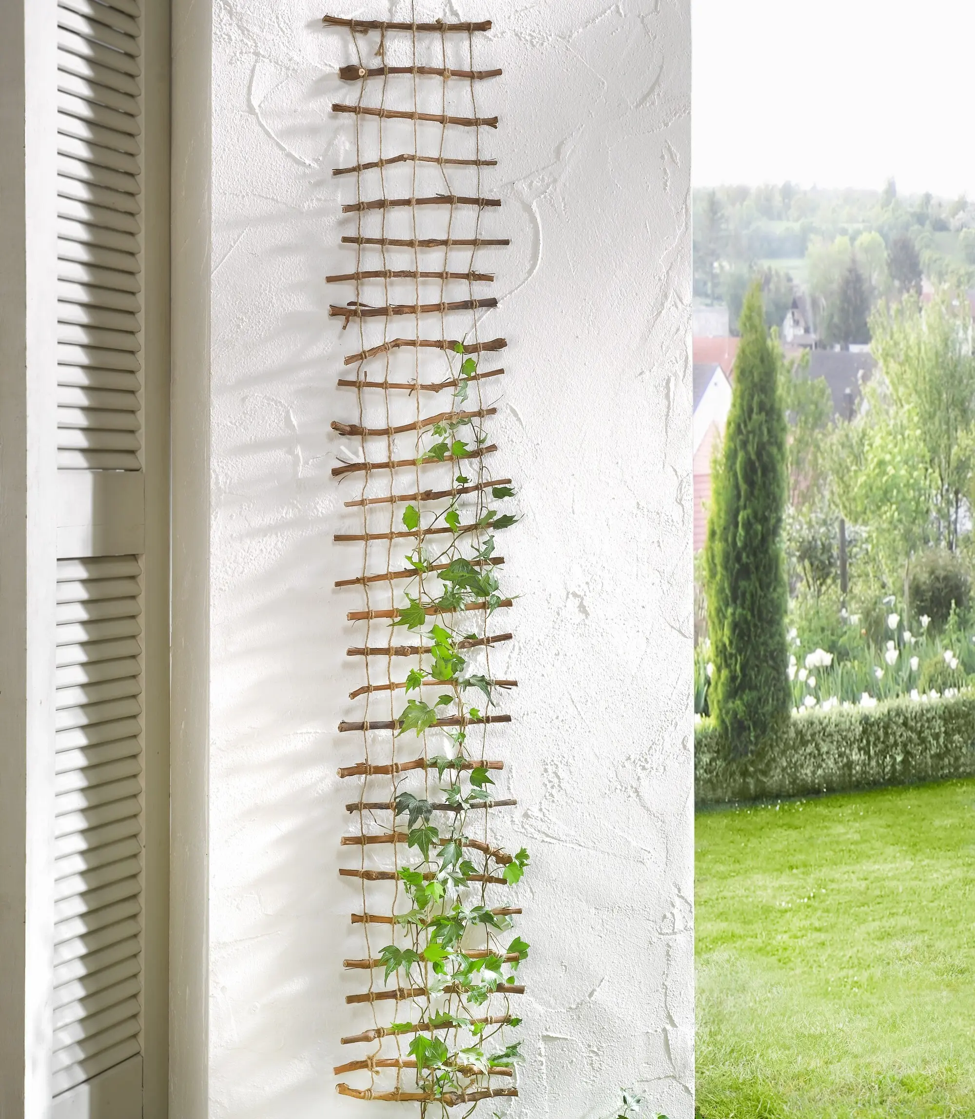 Acheter Suspension "grille"  dans la boutique en ligne de Frank Flechtwaren pour Treillis &amp; arceaux