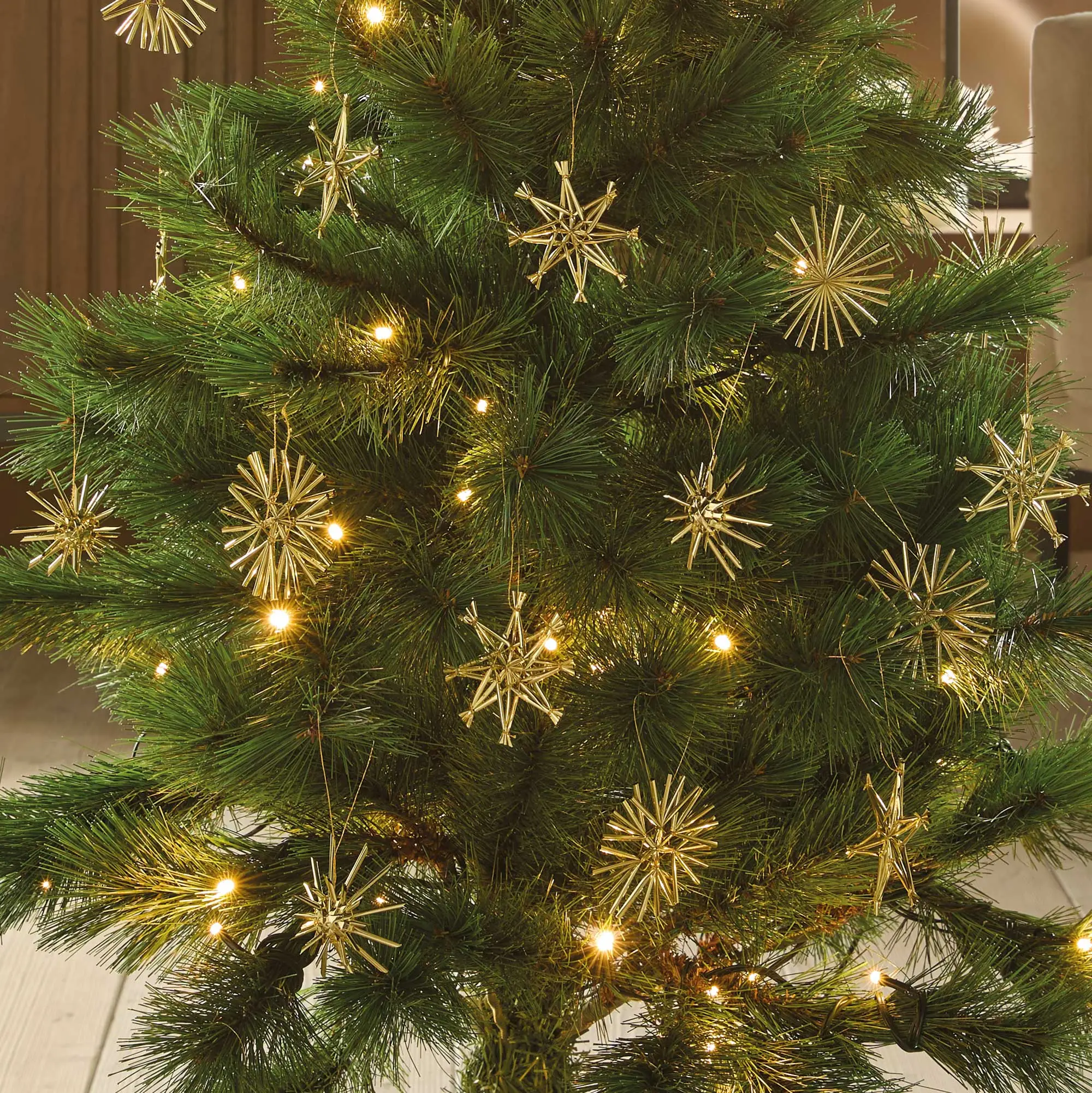 Acheter Étoile de Noël « Gold », lot de 32 dans la boutique en ligne de Frank Flechtwaren
