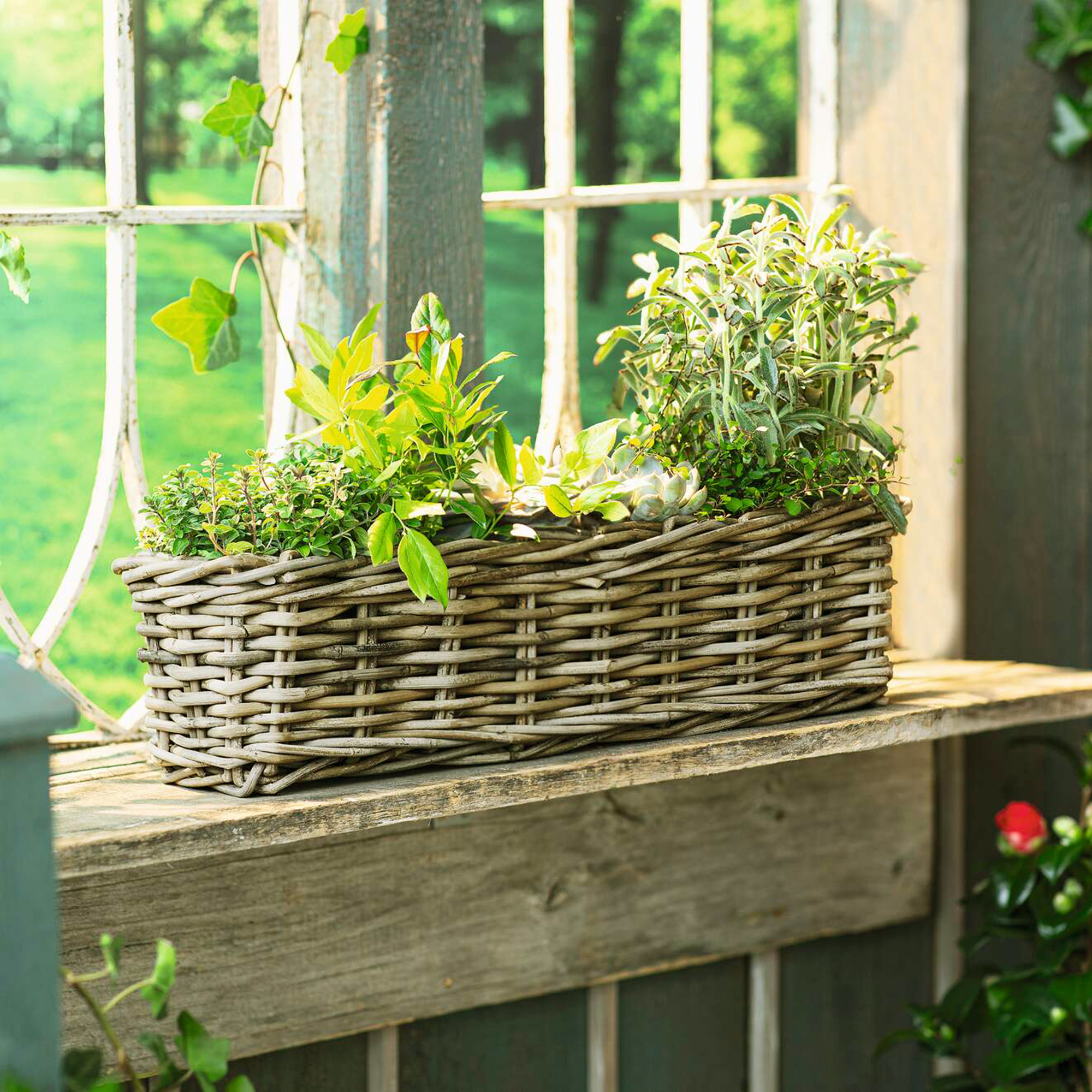 Acheter Jardinière "rotin", GM  dans la boutique en ligne de Frank Flechtwaren