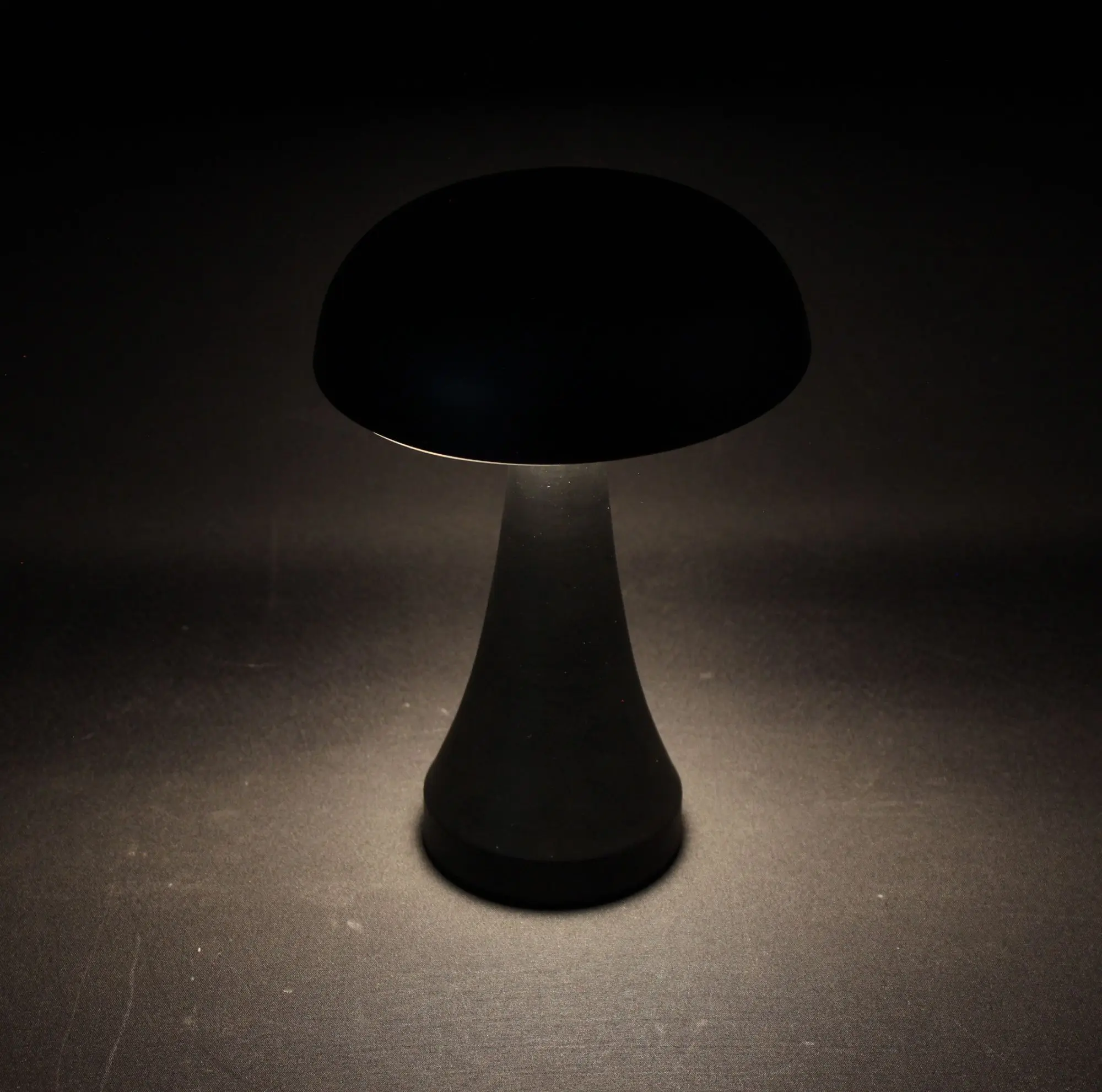 Acheter Lampe LED "champignon" dans la boutique en ligne de Frank Flechtwaren pour Luminaires de jardin Acheter Lampe LED "champignon" dans la boutique en ligne de Frank Flechtwaren pour Luminaires de jardin