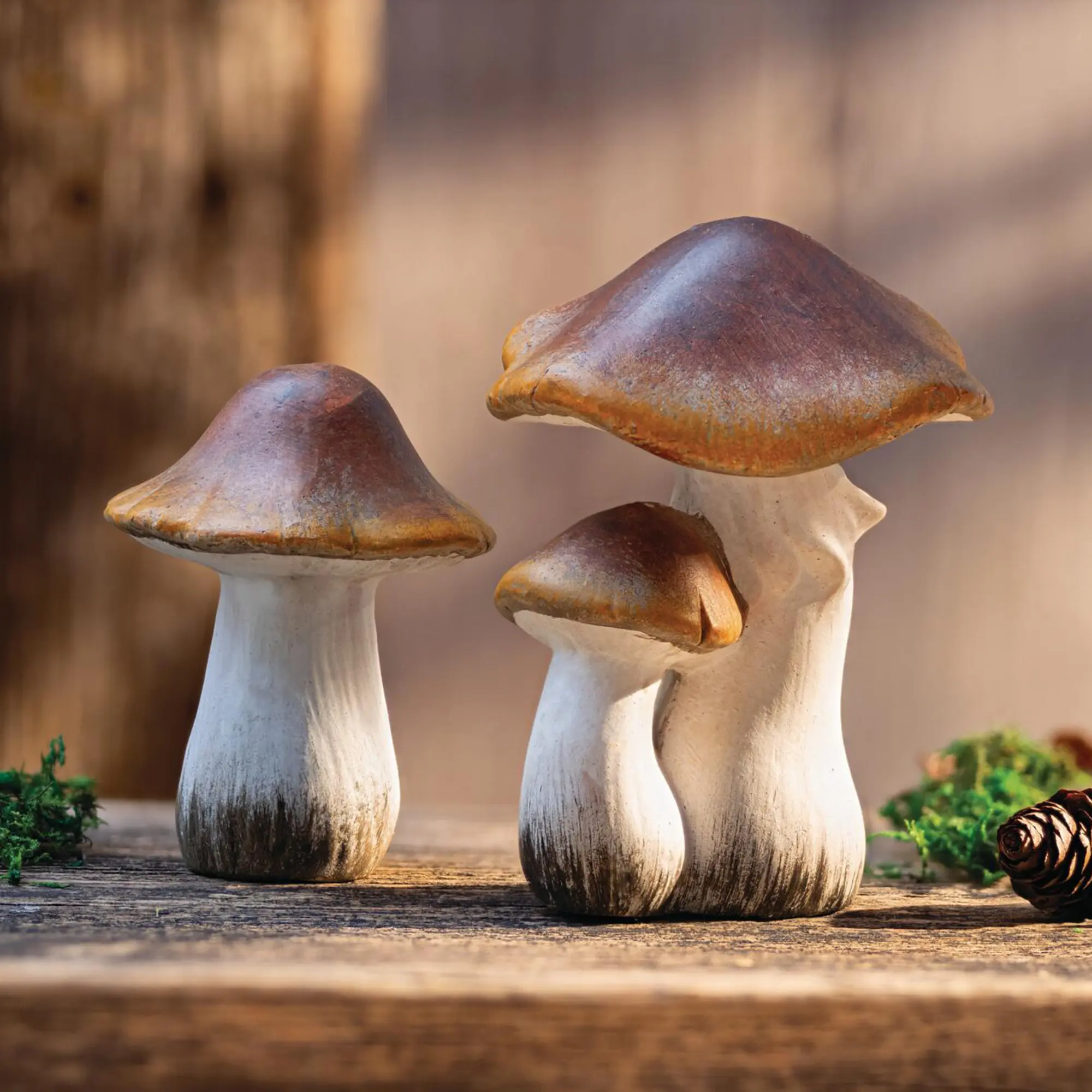 Acheter Champignon décoratif « Brownie », lot de 2 dans la boutique en ligne de Frank Flechtwaren