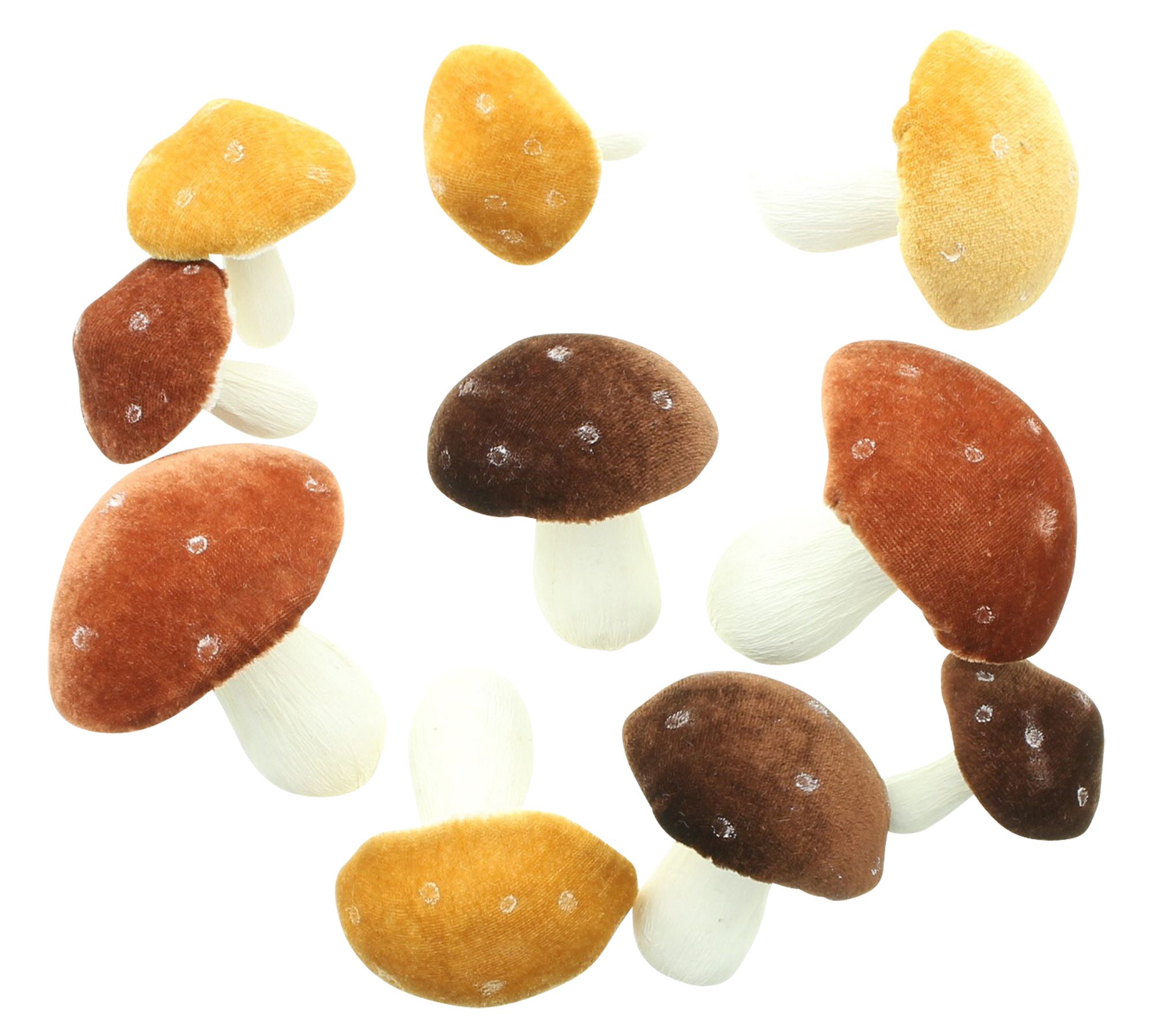 Acheter Lot de 10 champignons "Velvet"  dans la boutique en ligne de Frank Flechtwaren pour Automne