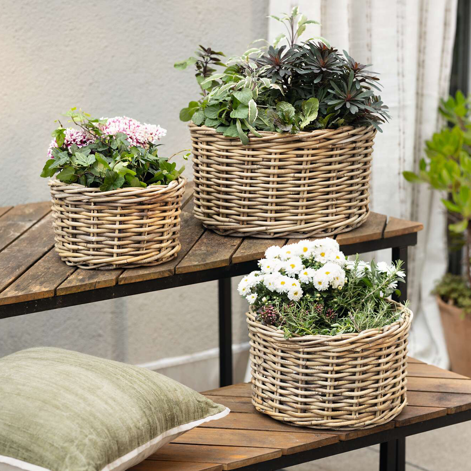 Acheter Lot de 3 corbeilles à plantes "rotin"  dans la boutique en ligne de Frank Flechtwaren