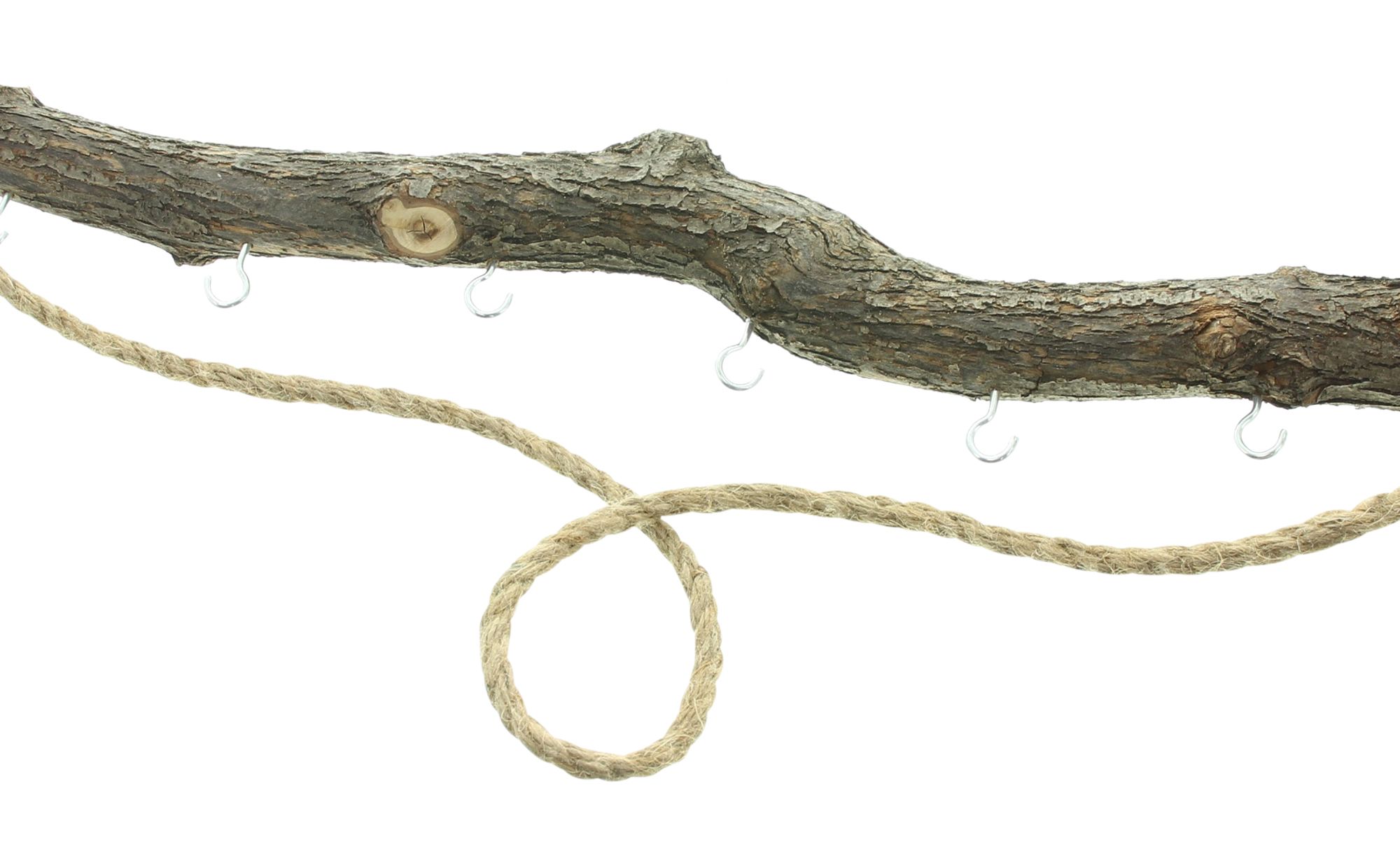 Acheter Branche "nature"  dans la boutique en ligne de Frank Flechtwaren pour Décorations à suspendre