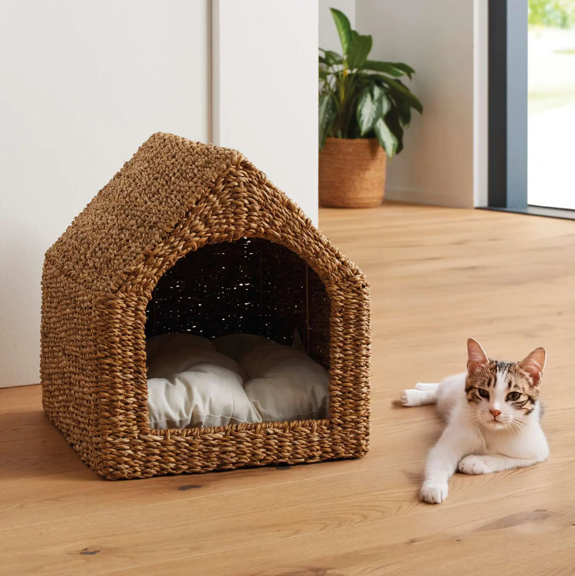 Acheter caverne pour animaux "petite maison"  dans la boutique en ligne de Frank Flechtwaren