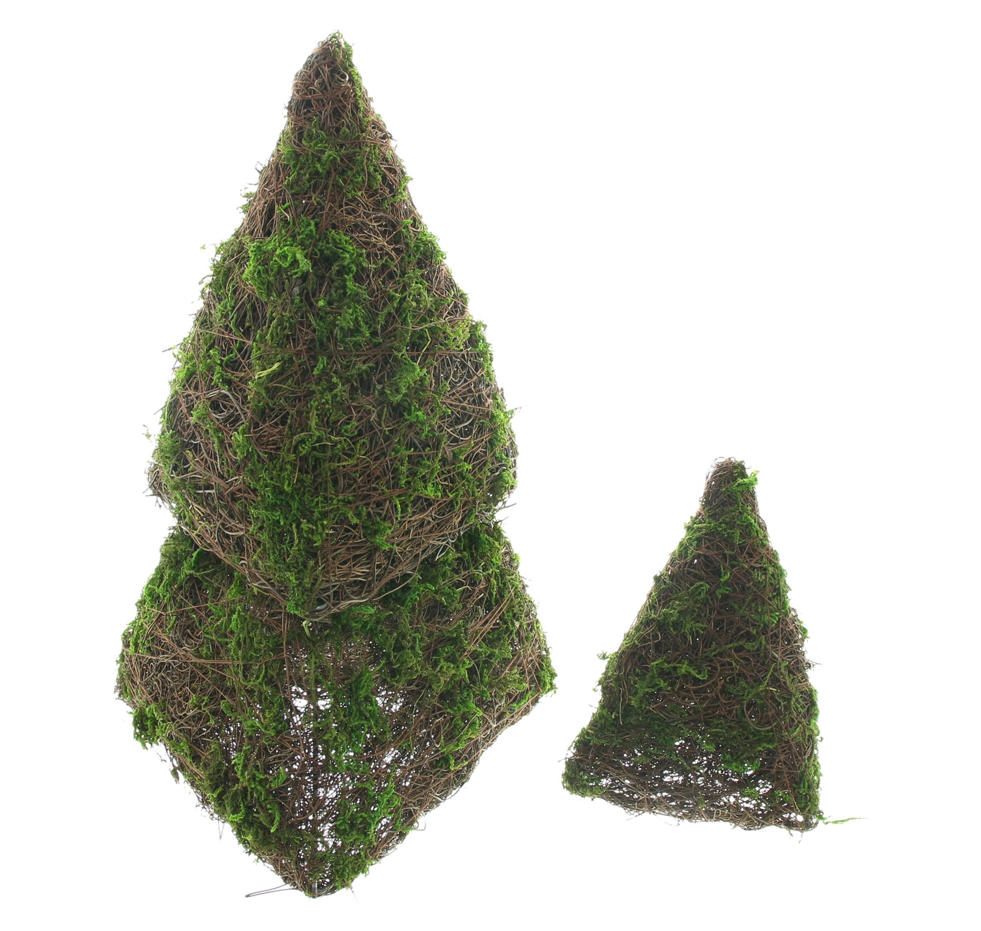 Acheter Pyramide de sapin « Moos », lot de 3  dans la boutique en ligne de Frank Flechtwaren pour Nouvel arrivage