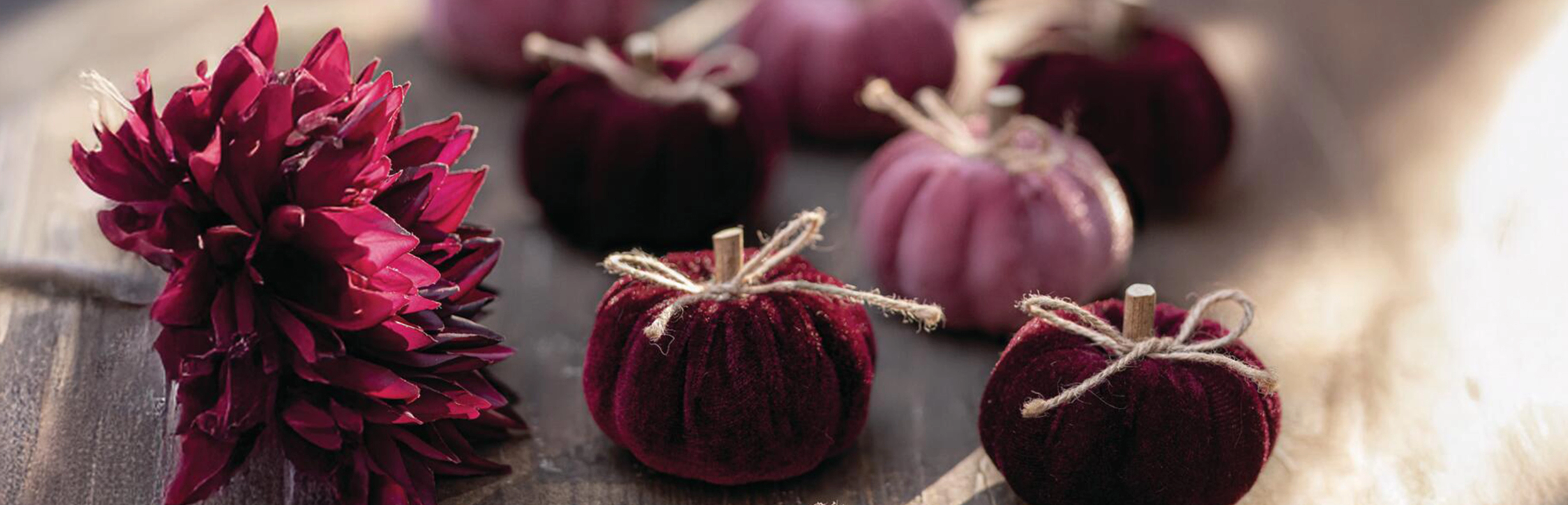 Décoration d'automne : des citrouilles en velours bordeaux et des dahlias rouges pour une décoration de table élégante aux tons de baies