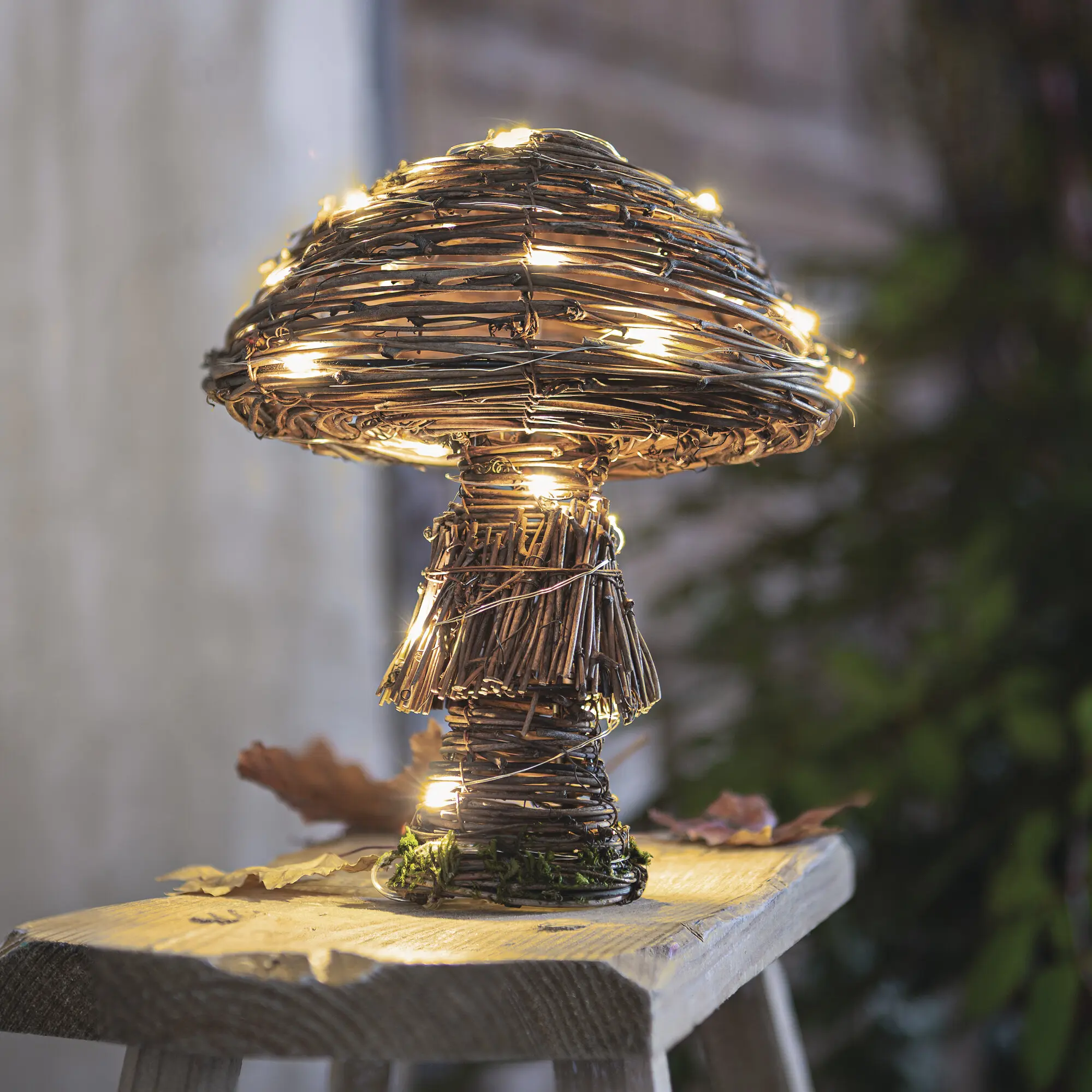 Acheter Champignon LED "rustique"  dans la boutique en ligne de Frank Flechtwaren