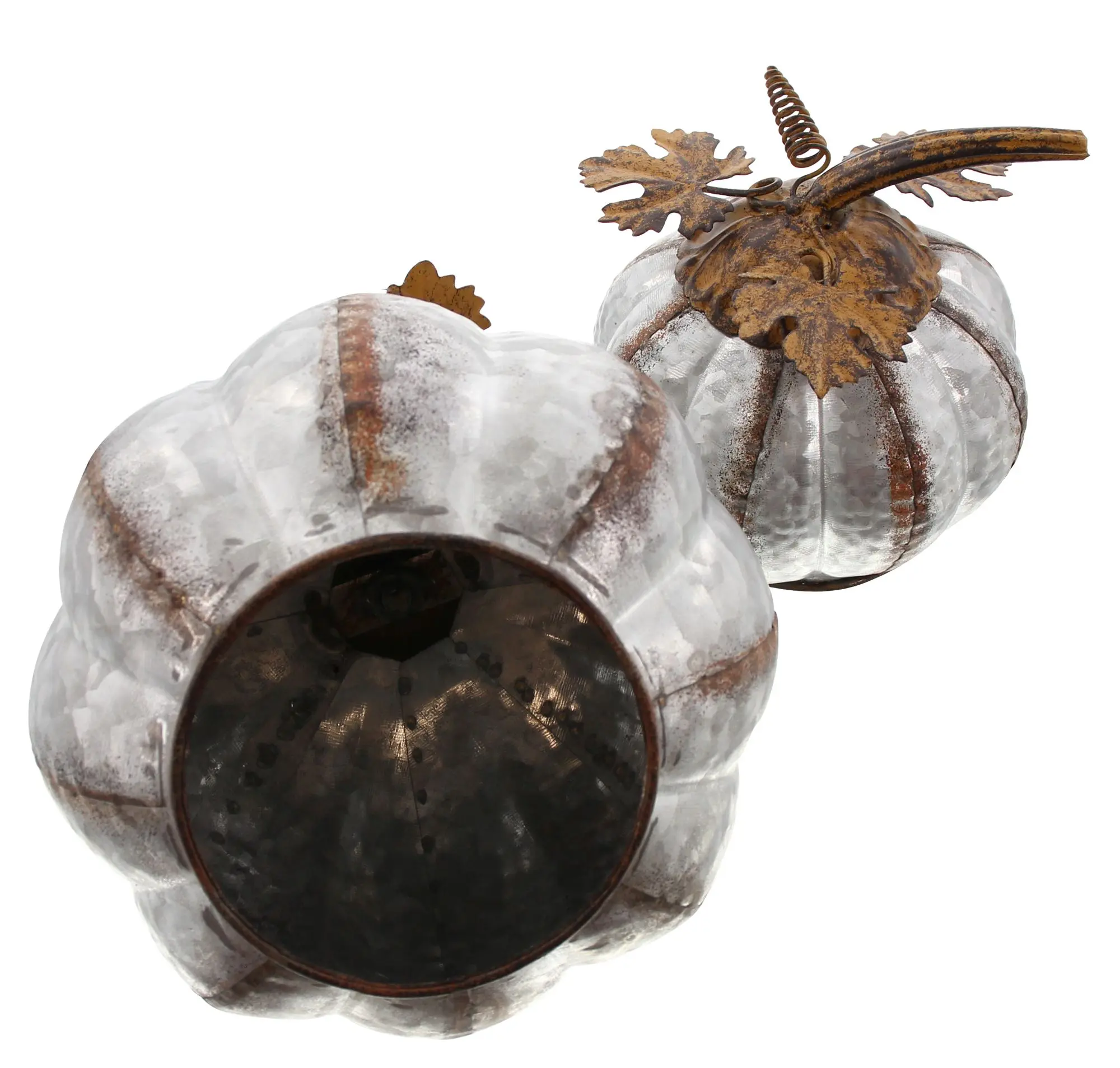 Acheter Lot de 2 citrouilles "feuilles rouillées"  dans la boutique en ligne de Frank Flechtwaren pour Jardin d'automne