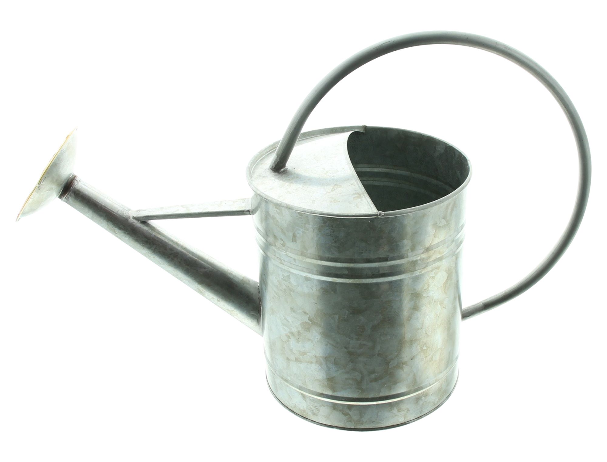 Acheter Arrosoir décoratif "Silver"  dans la boutique en ligne de Frank Flechtwaren pour Décorations de jardin