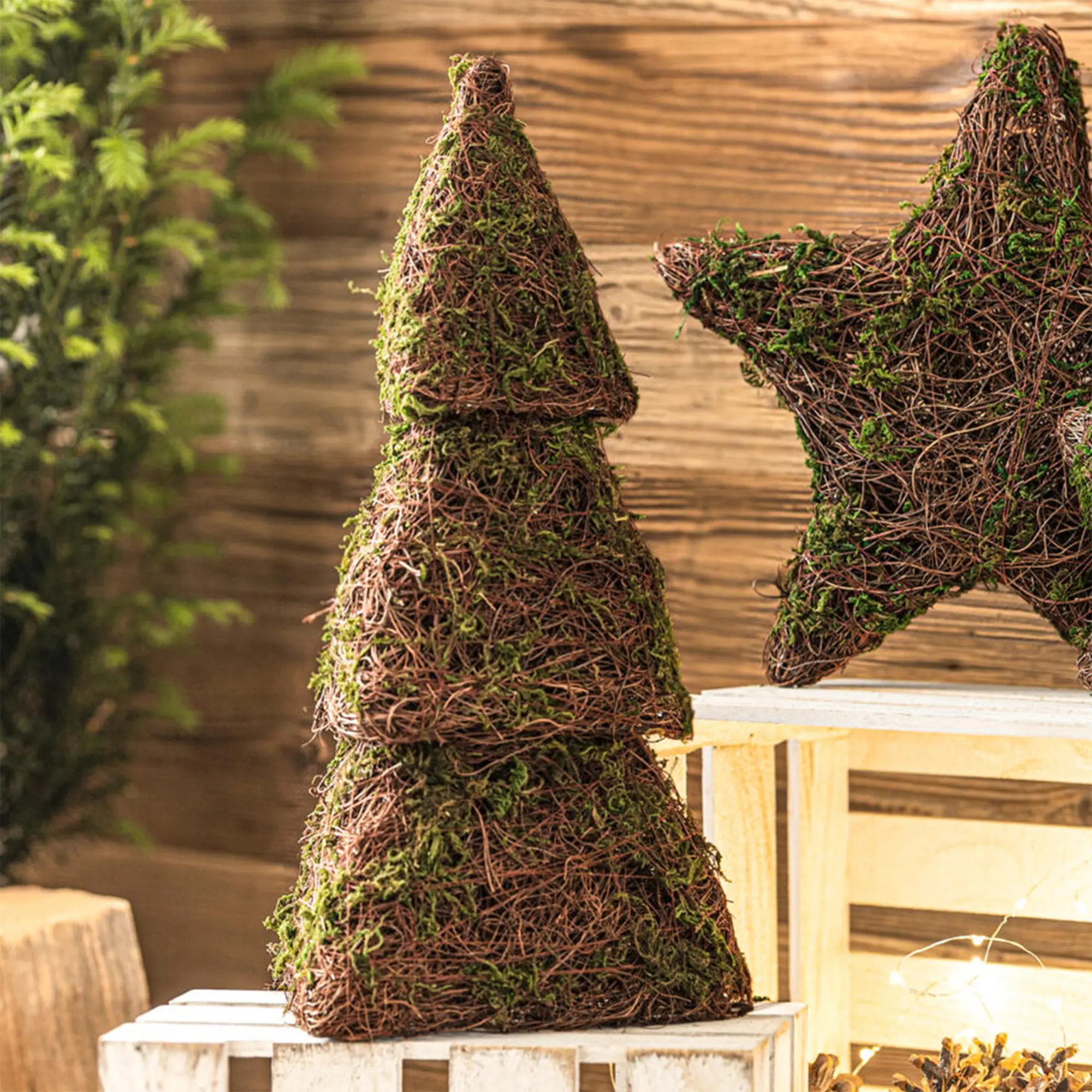 Acheter Pyramide en sapin « Moos », lot de 3 pièces.  dans la boutique en ligne de Frank Flechtwaren