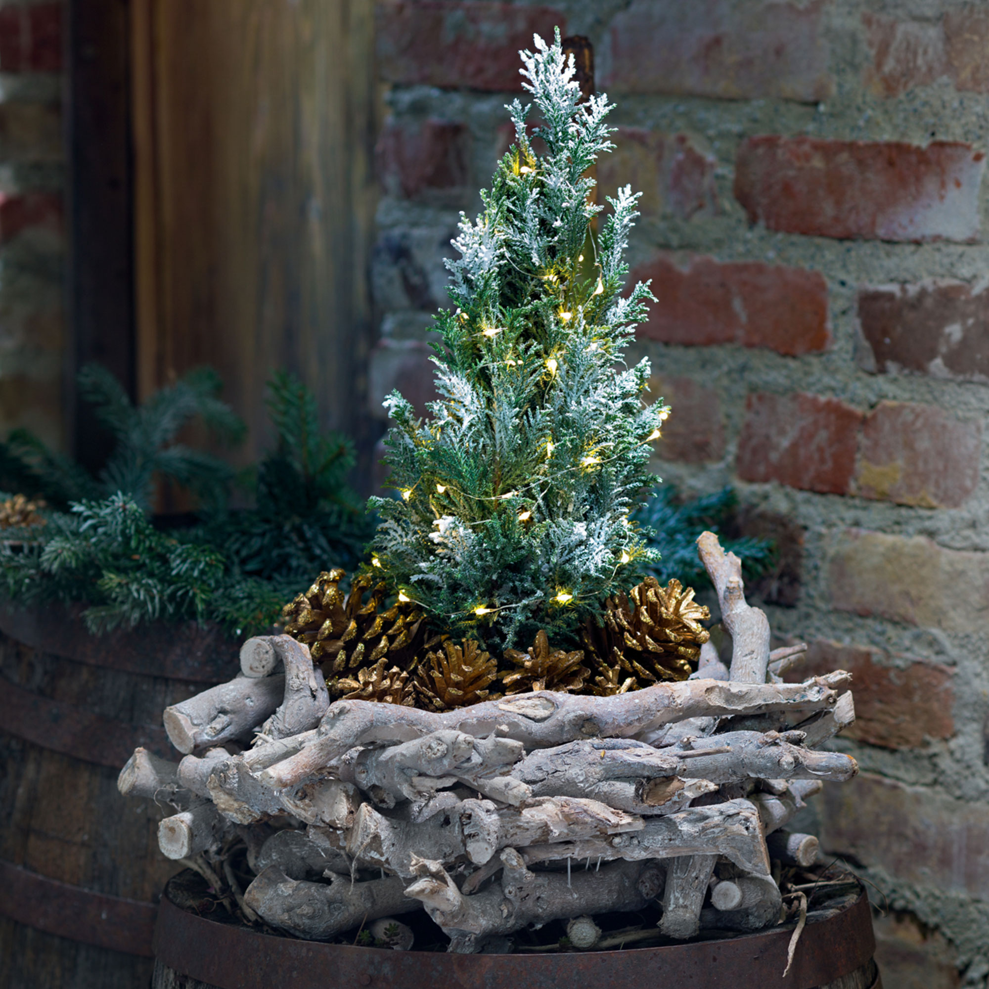 Acheter Jardinière "rustique"  dans la boutique en ligne de Frank Flechtwaren