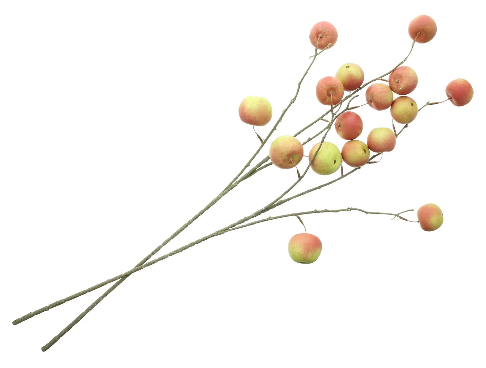 Acheter Branche artificielle « Pomme », lot de 2 dans la boutique en ligne de Frank Flechtwaren pour Promenade en forêt