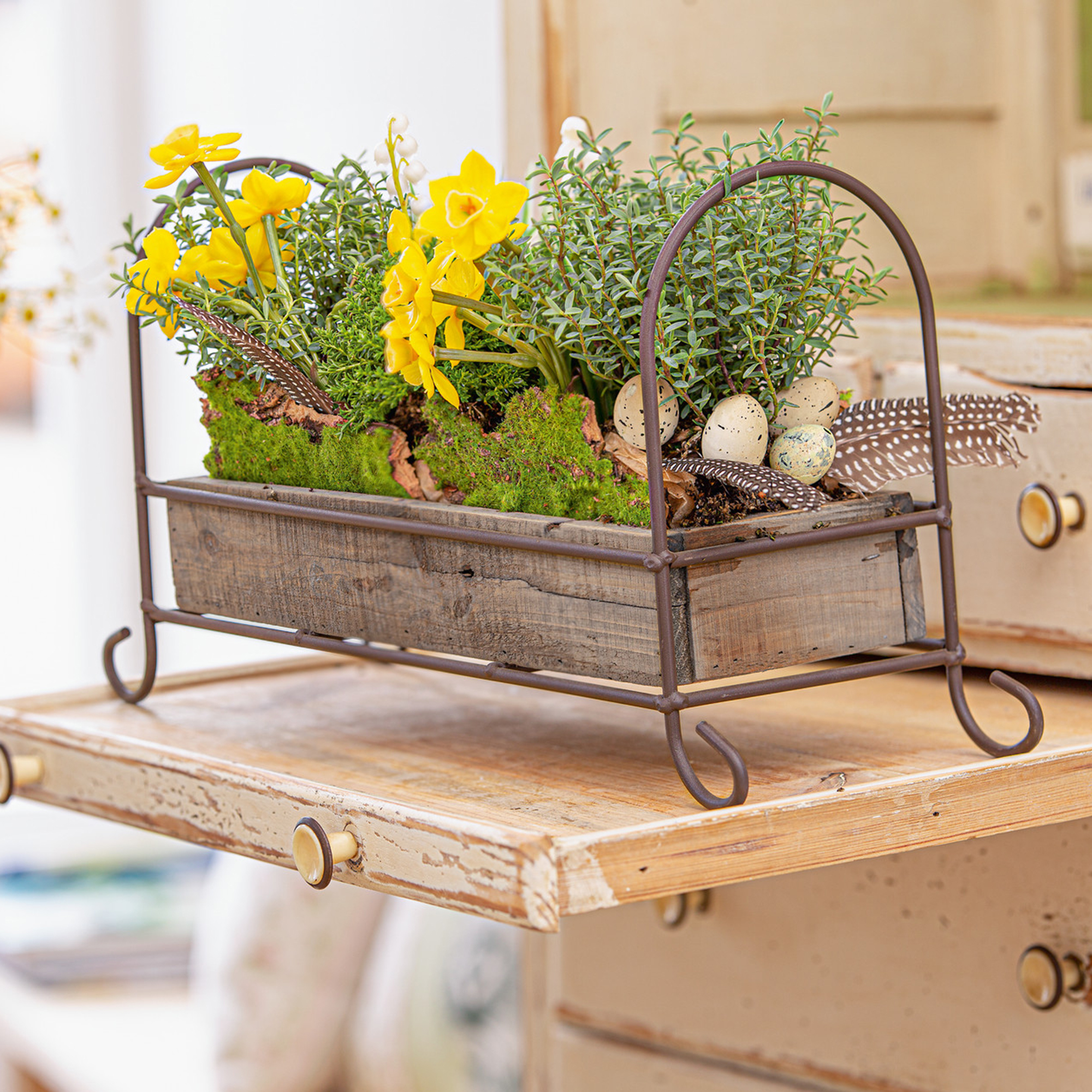 Acheter Plateau de décoration "vrille"  dans la boutique en ligne de Frank Flechtwaren pour Bols et niveaux décoratifs