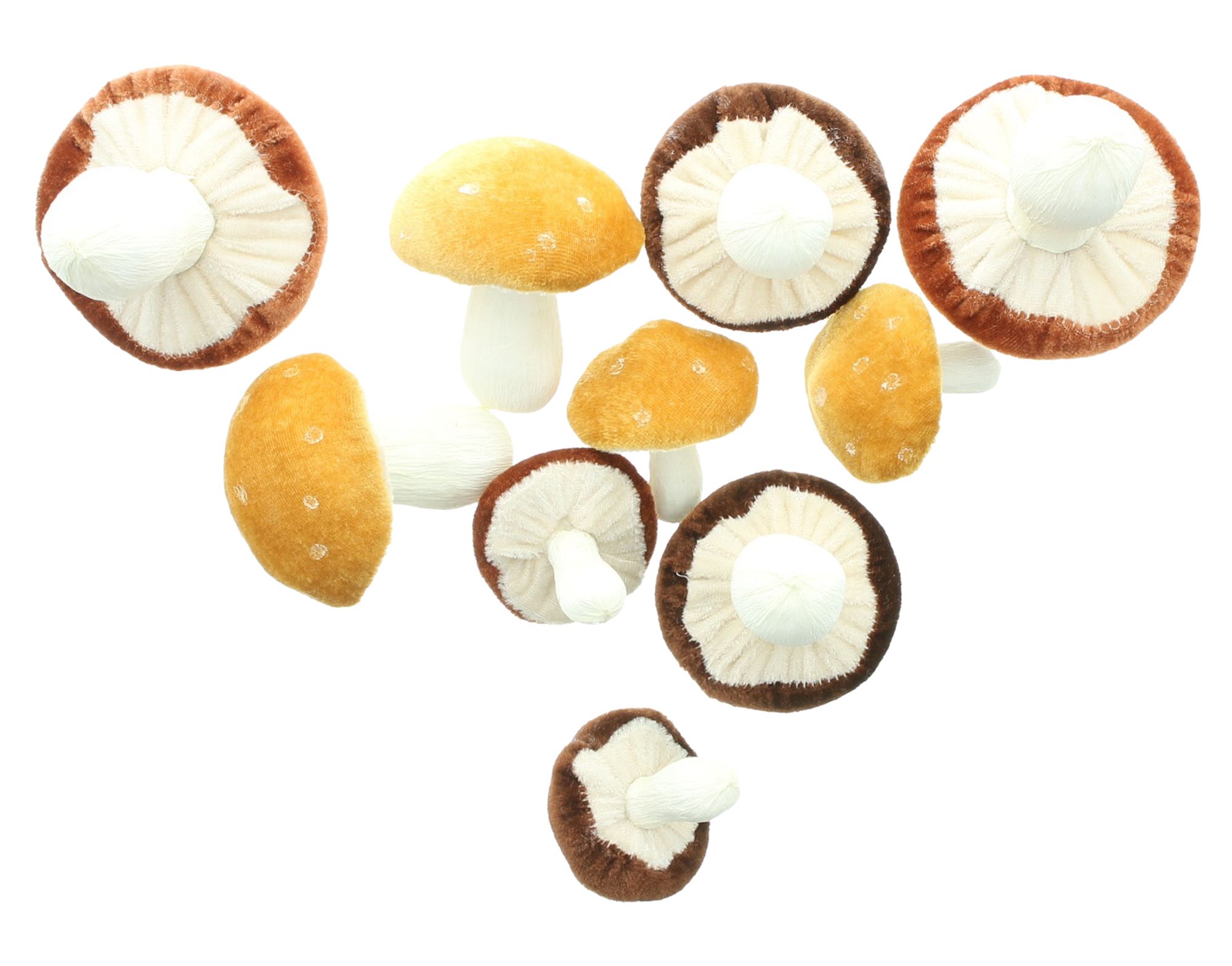 Acheter Lot de 10 champignons "Velvet"  dans la boutique en ligne de Frank Flechtwaren pour Automne