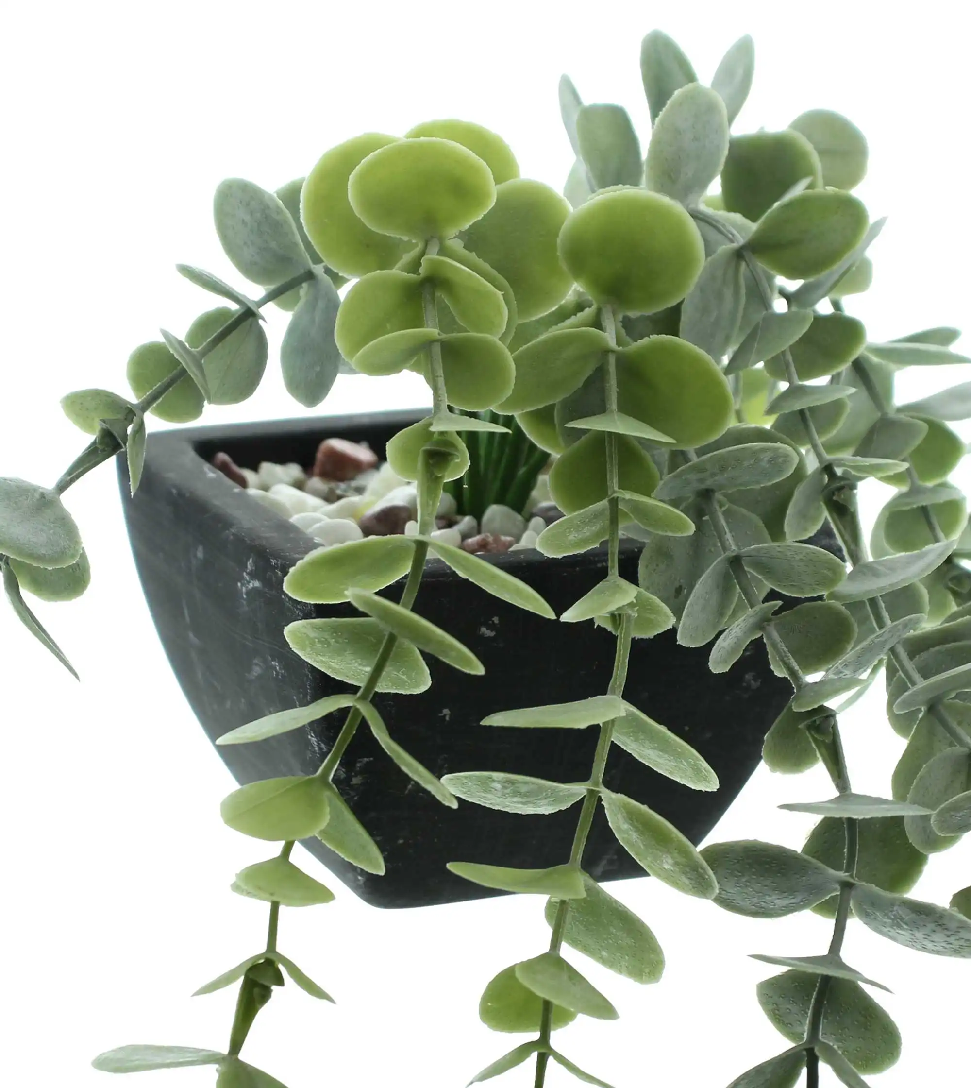 Acheter Lot de 2 plantes artificielles "verdure" dans la boutique en ligne de Frank Flechtwaren pour Plantes artificielles Acheter Lot de 2 plantes artificielles "verdure" dans la boutique en ligne de Frank Flechtwaren pour Plantes artificielles