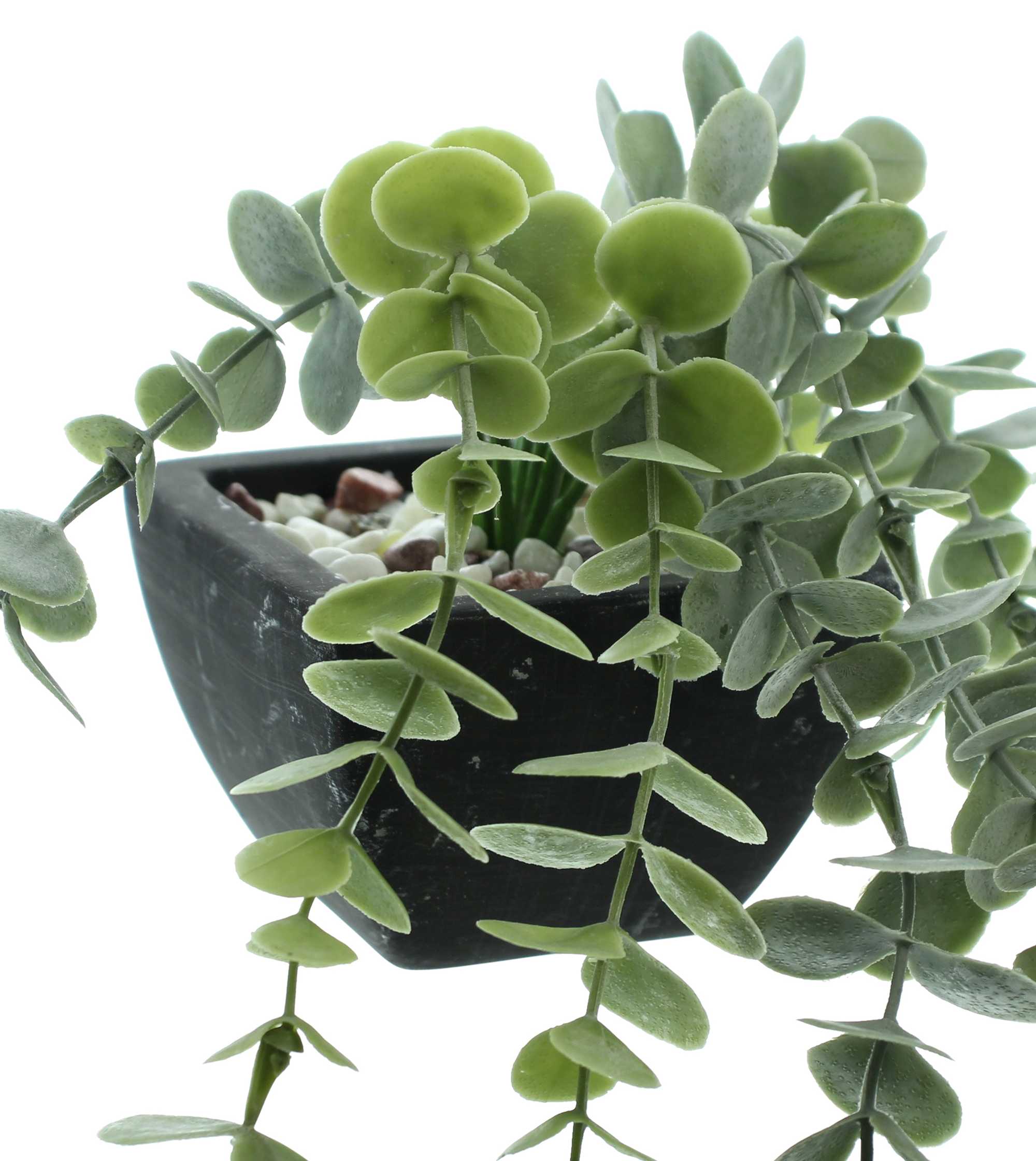 Acheter Lot de 2 plantes artificielles "verdure" dans la boutique en ligne de Frank Flechtwaren pour Plantes artificielles Acheter Lot de 2 plantes artificielles "verdure" dans la boutique en ligne de Frank Flechtwaren pour Plantes artificielles