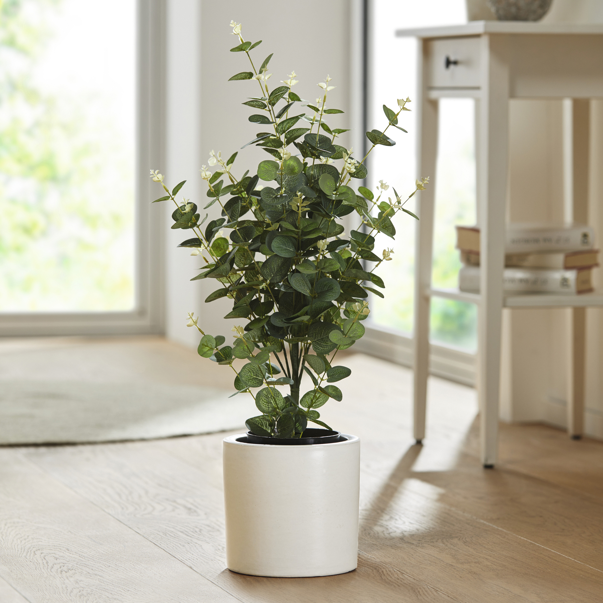 Acheter Plante en pot "eucalyptus" dans la boutique en ligne de Frank Flechtwaren pour Pâques Acheter Plante en pot "eucalyptus" dans la boutique en ligne de Frank Flechtwaren pour Pâques