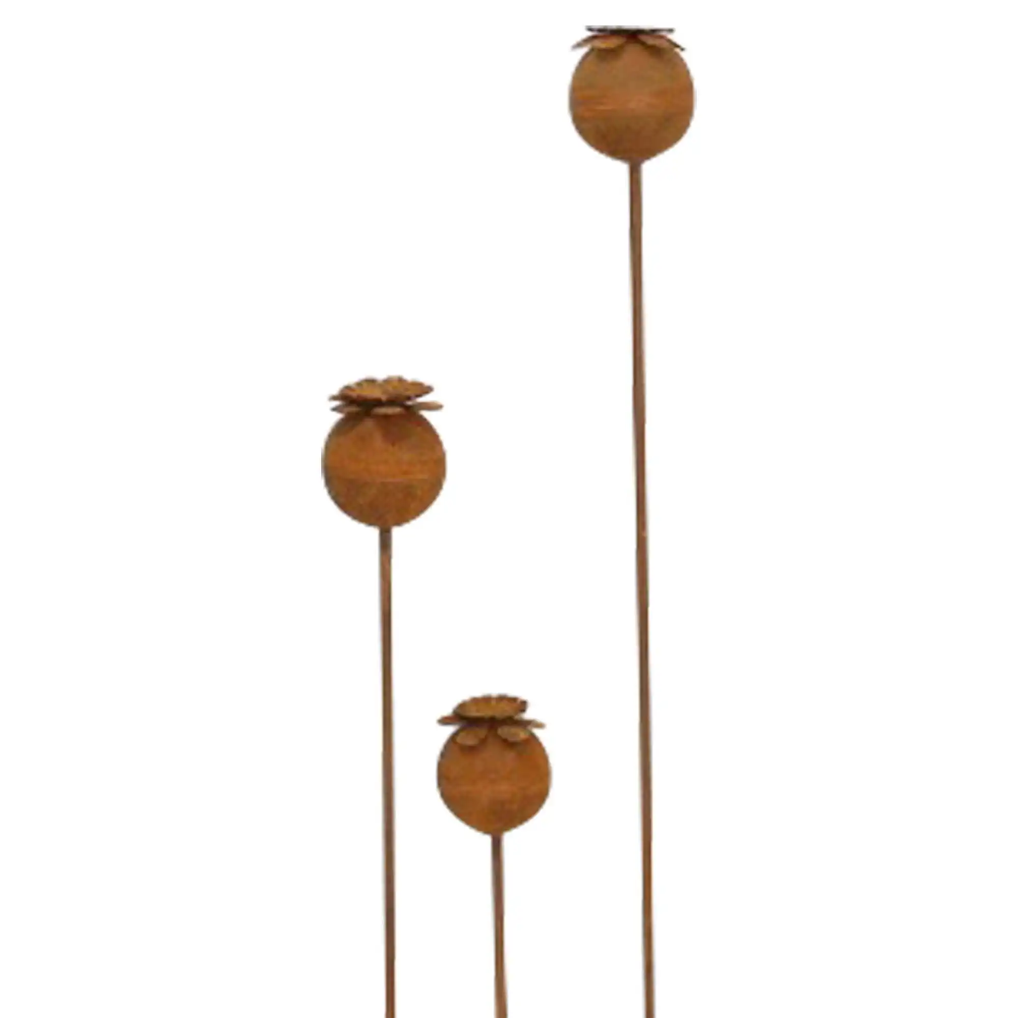 Acheter Lot de 3 pics de jardin "coquelicot"  dans la boutique en ligne de Frank Flechtwaren pour Pics de jardin