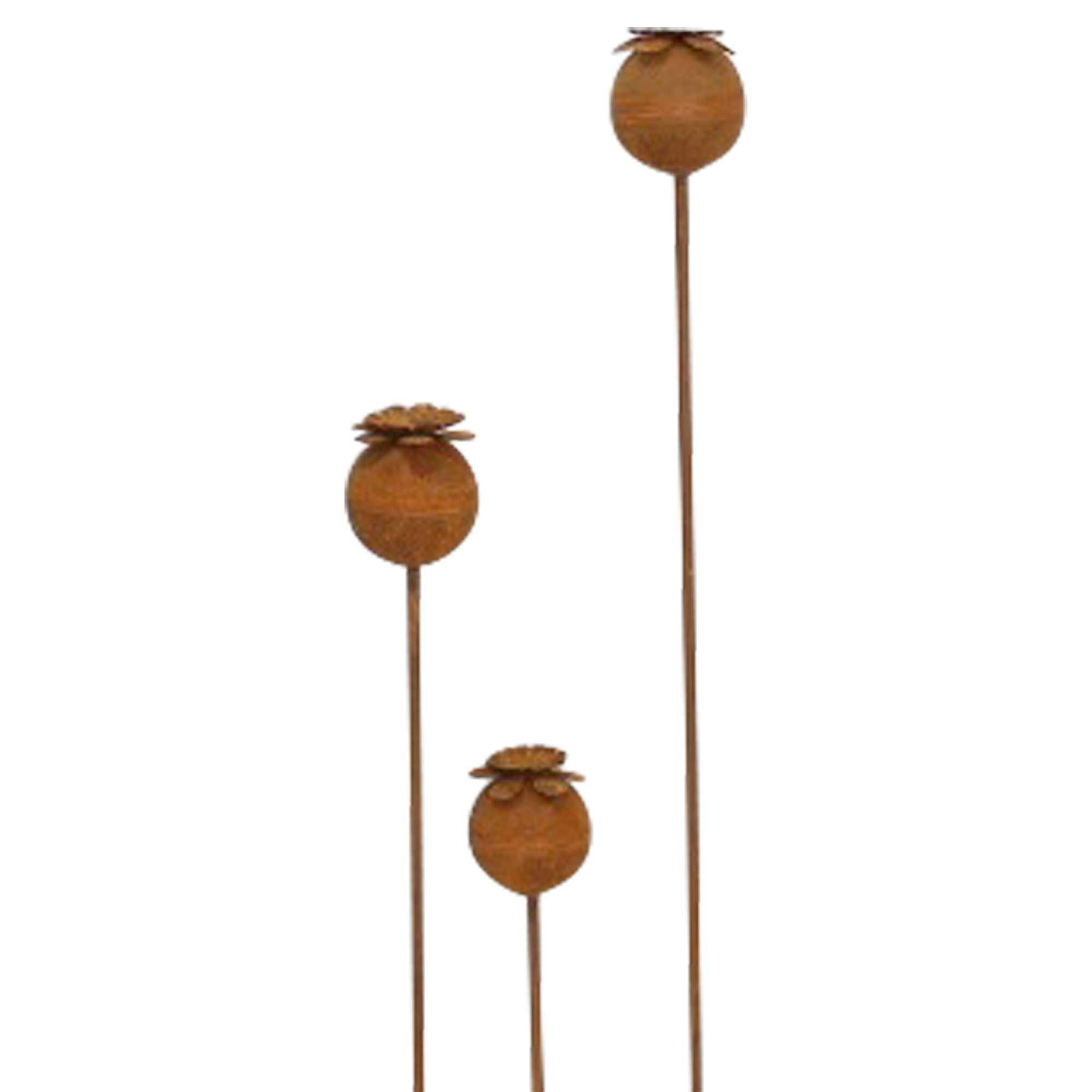 Acheter Lot de 3 pics de jardin "coquelicot" dans la boutique en ligne de Frank Flechtwaren pour Pics de jardin Acheter Lot de 3 pics de jardin "coquelicot" dans la boutique en ligne de Frank Flechtwaren pour Pics de jardin