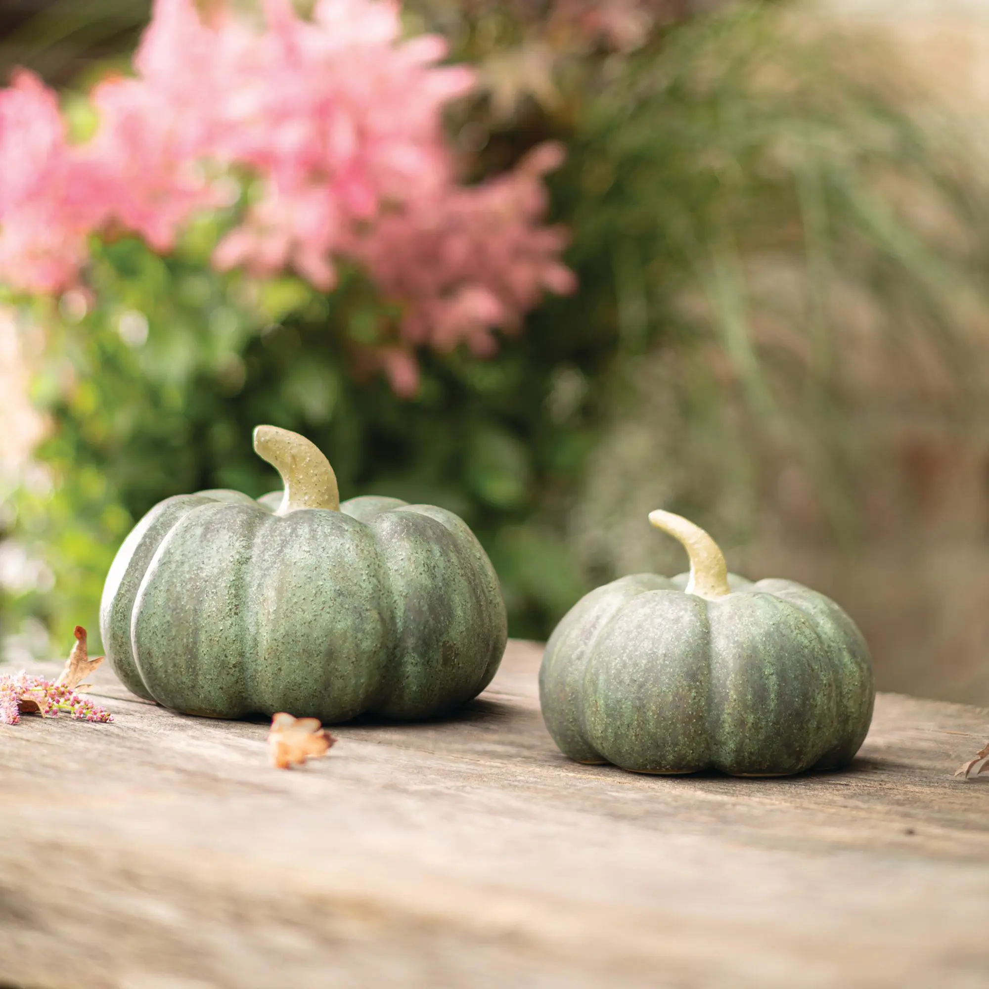 Acheter Courge décorative « Antik Green », lot de 2 dans la boutique en ligne de Frank Flechtwaren