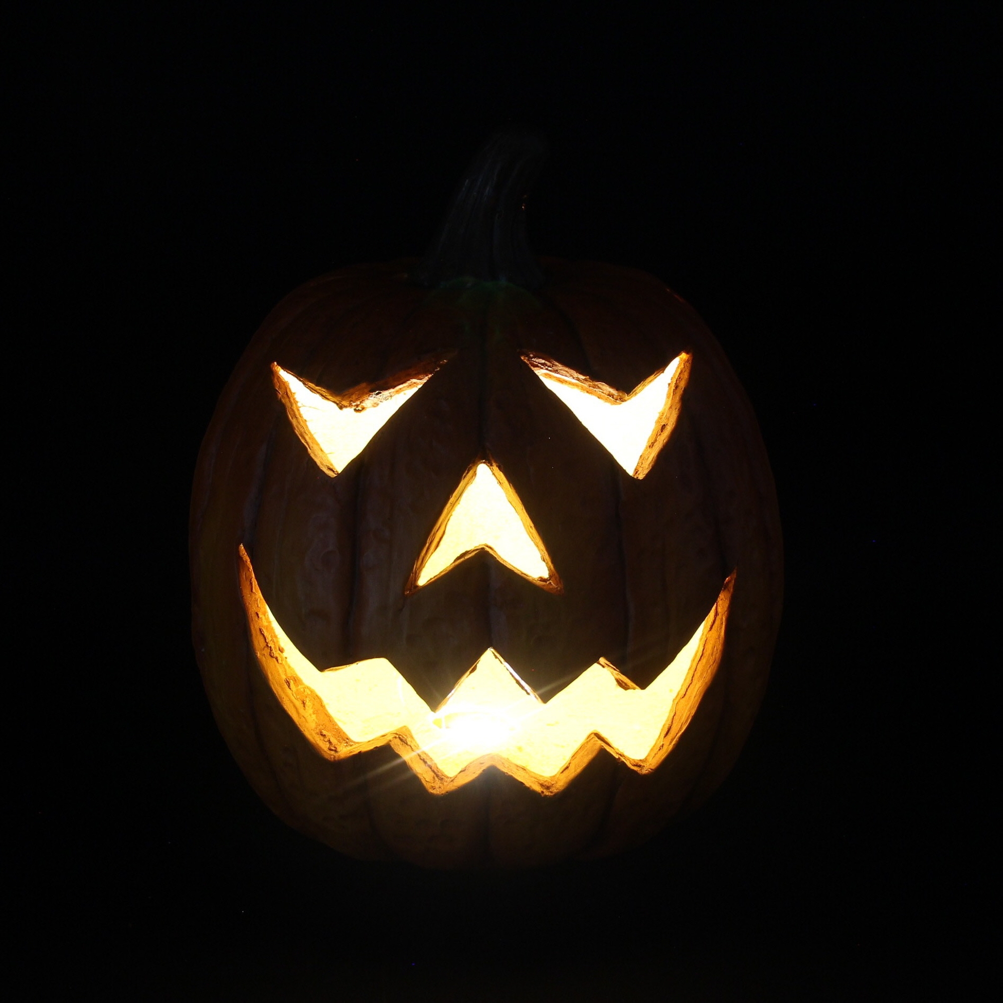 Acheter Citrouille LED "Spooky"  dans la boutique en ligne de Frank Flechtwaren pour Automne