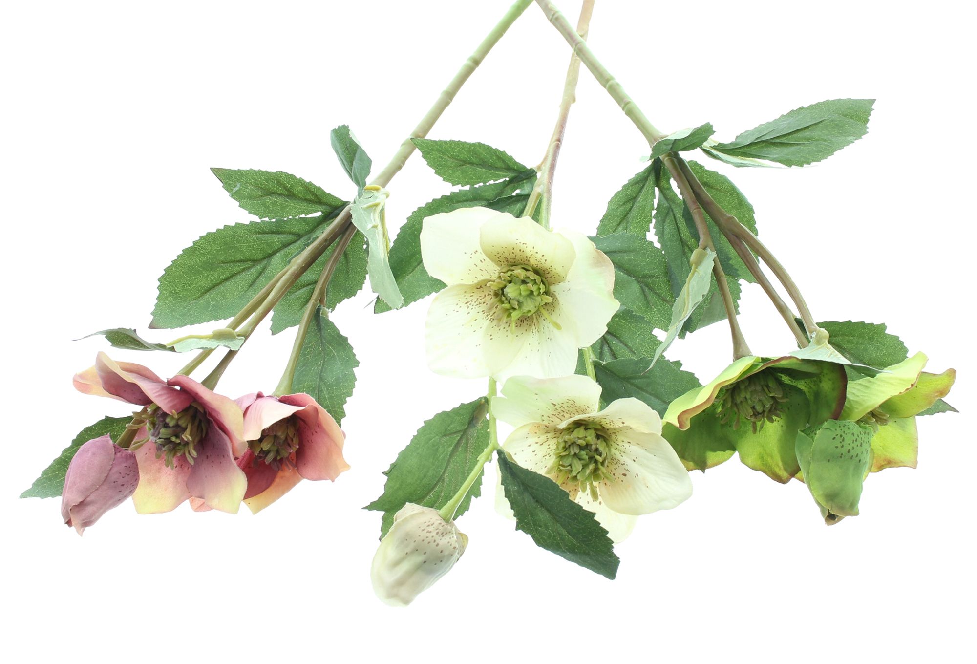 Acheter Lot de 3 fleurs artificielles "rose de Noël"  dans la boutique en ligne de Frank Flechtwaren pour Noël