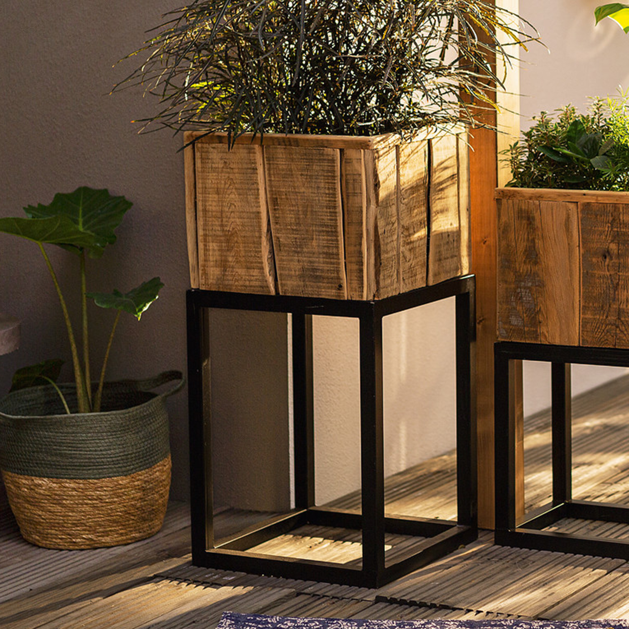 Acheter Pot à plantes "moderne", carré  dans la boutique en ligne de Frank Flechtwaren