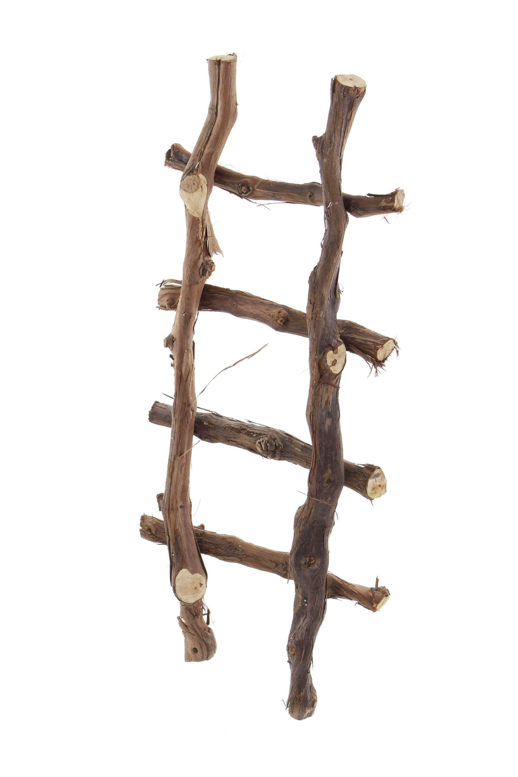 Acheter Échelle de décoration "bois de vigne" dans la boutique en ligne de Frank Flechtwaren pour Noël Acheter Échelle de décoration "bois de vigne" dans la boutique en ligne de Frank Flechtwaren pour Noël