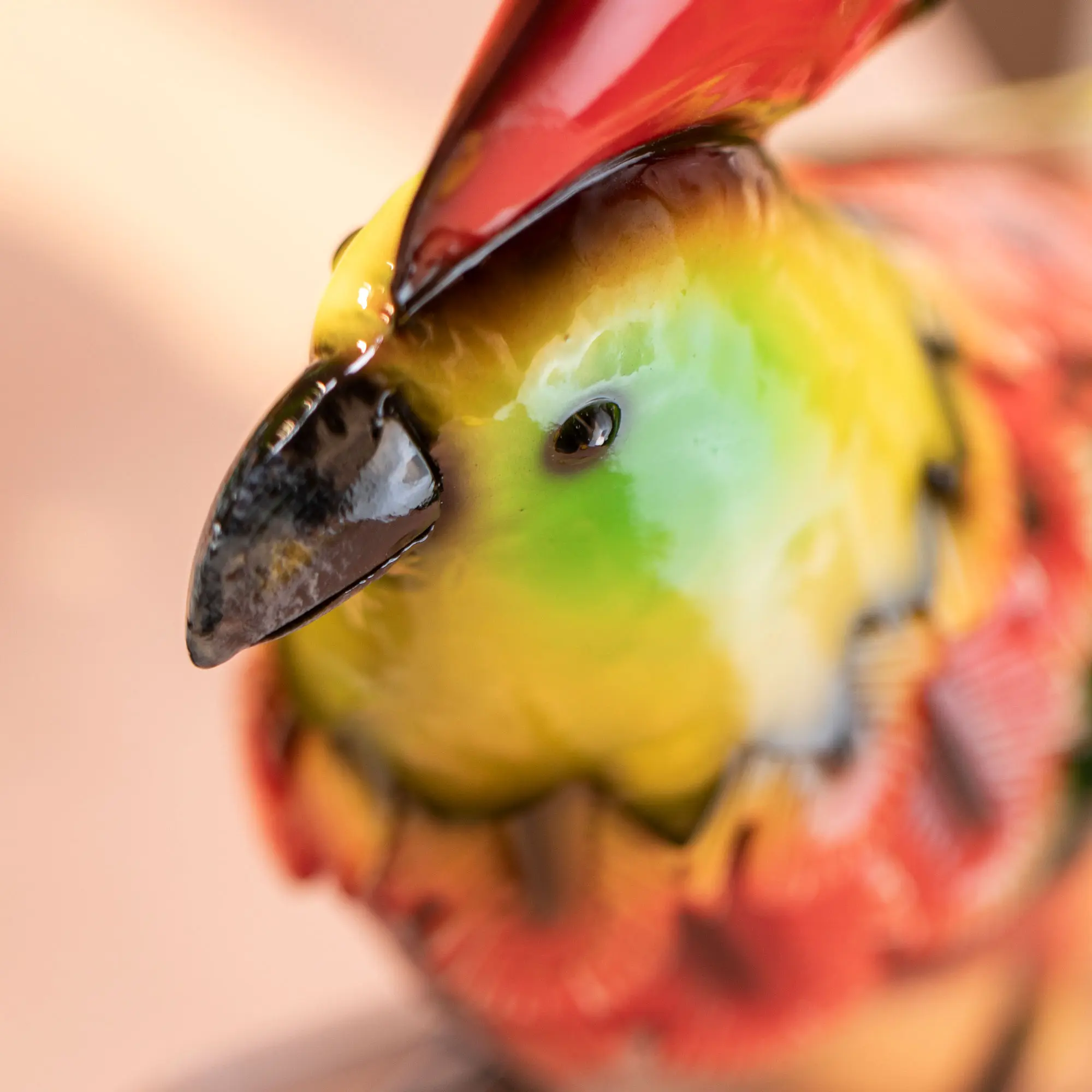 Acheter Oiseau de décoration "cacatoès"  dans la boutique en ligne de Frank Flechtwaren pour Ambiance de bar de plage