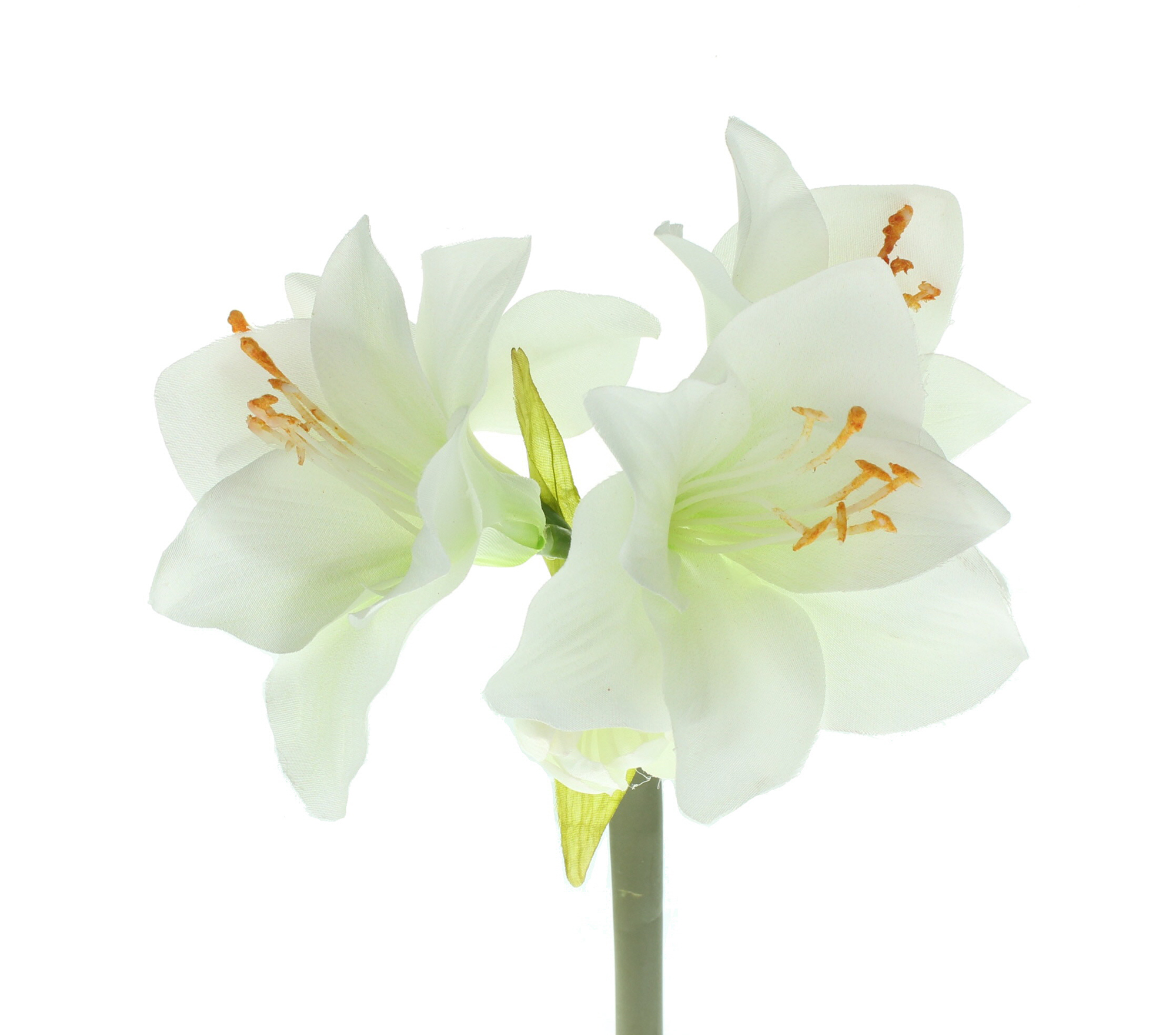 Acheter Fleur artificielle "Amaryllis", crème  dans la boutique en ligne de Frank Flechtwaren pour Plantes artificielles