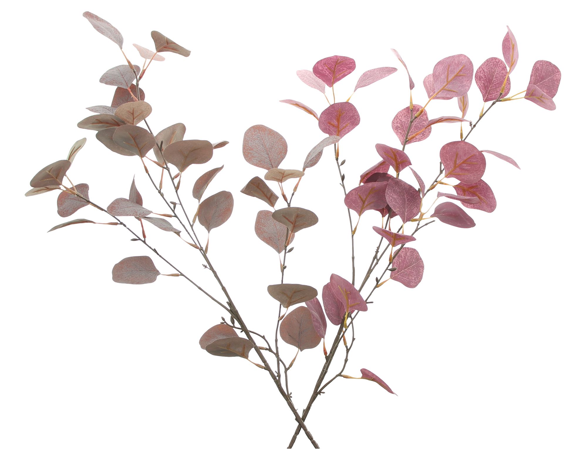Acheter Lot de 2 branches d'eucalyptus "mauve"  dans la boutique en ligne de Frank Flechtwaren pour Automne