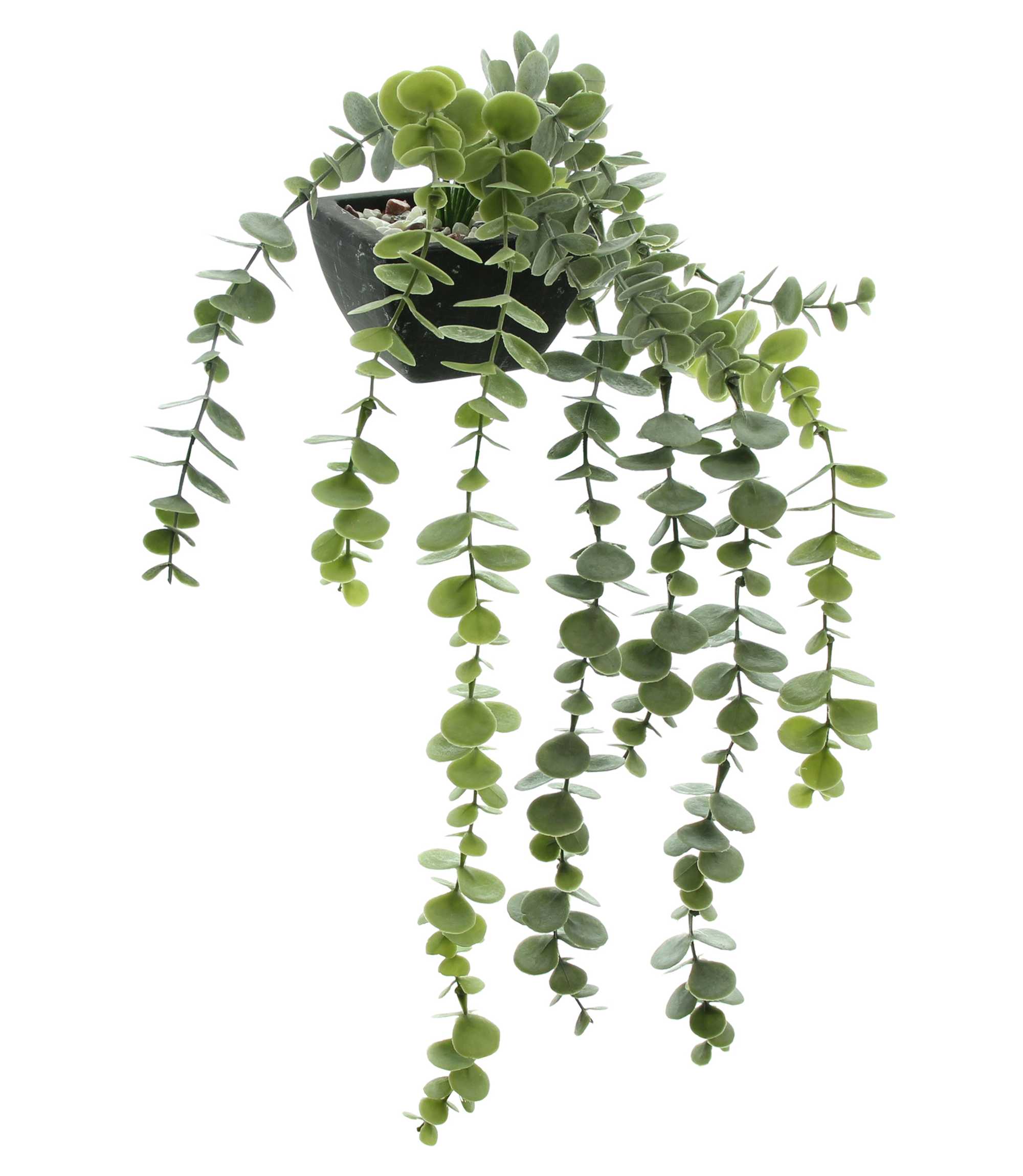 Acheter Lot de 2 plantes artificielles "verdure" dans la boutique en ligne de Frank Flechtwaren pour Plantes artificielles Acheter Lot de 2 plantes artificielles "verdure" dans la boutique en ligne de Frank Flechtwaren pour Plantes artificielles