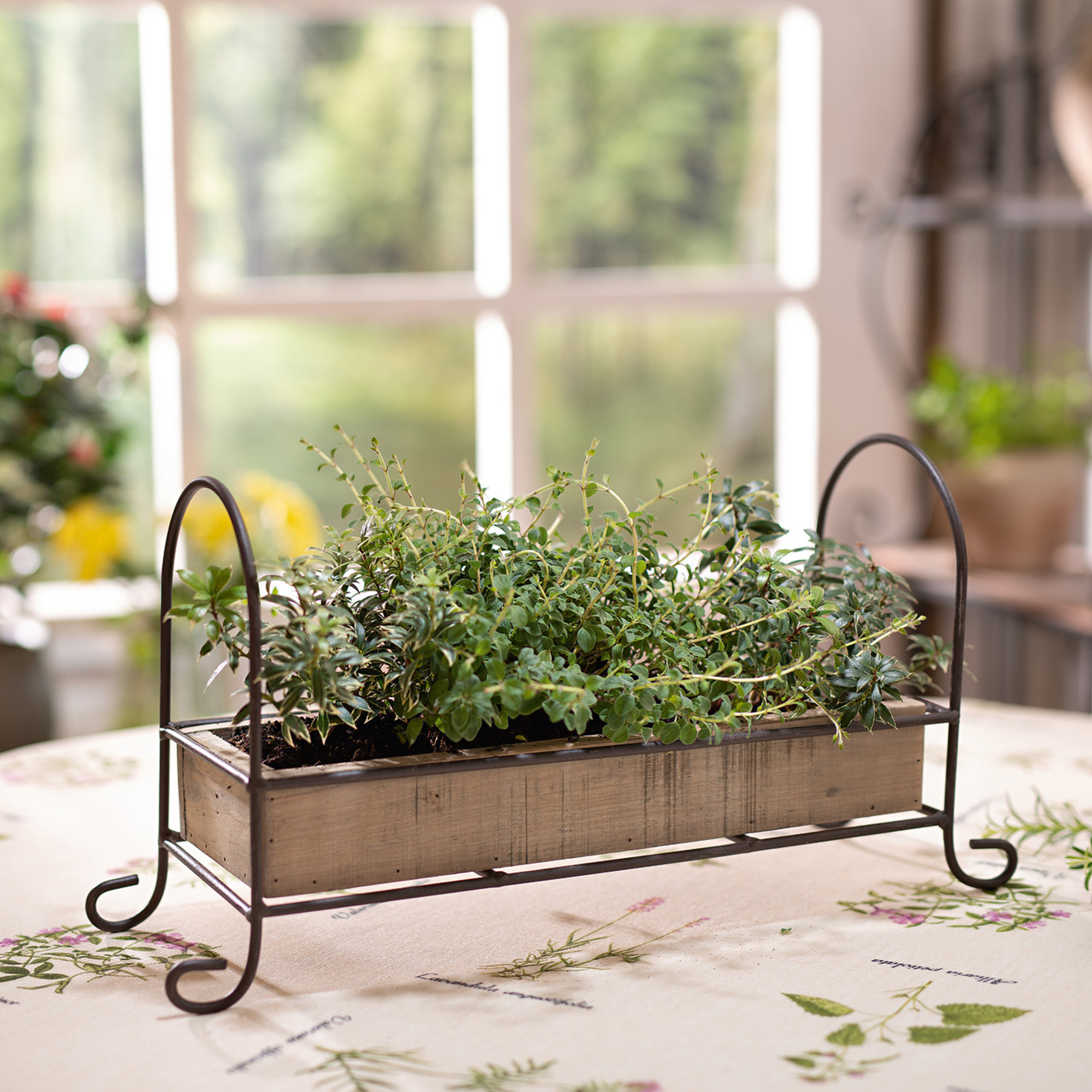 Acheter Plateau de décoration "vrille"  dans la boutique en ligne de Frank Flechtwaren