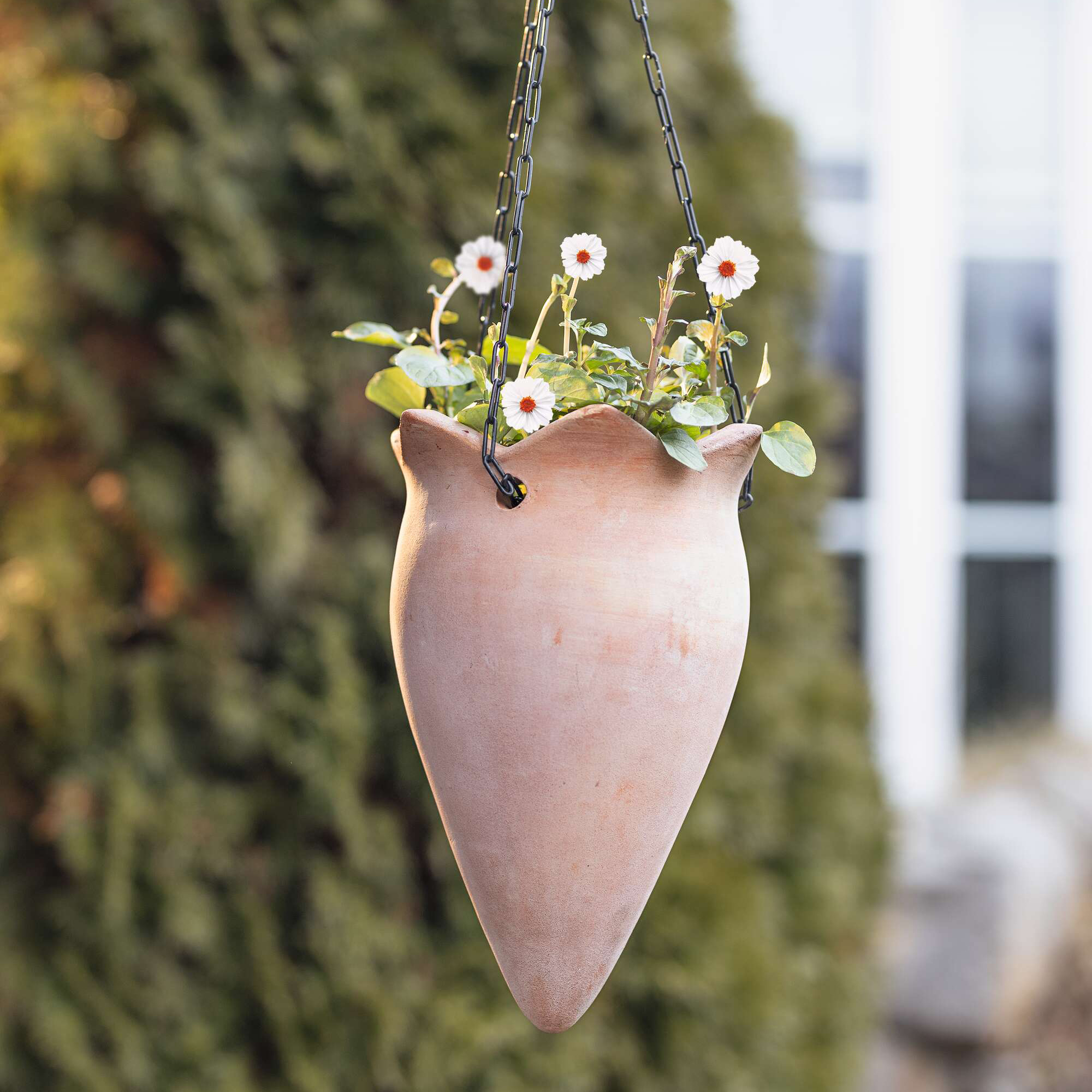 Acheter Jardinière suspendue "terre cuite"  dans la boutique en ligne de Frank Flechtwaren