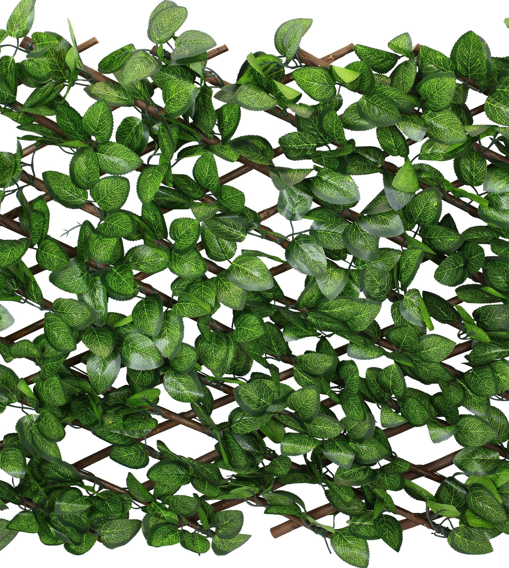 Acheter Brise-vue "toujours vert"  dans la boutique en ligne de Frank Flechtwaren pour Bordures &amp; clôtures