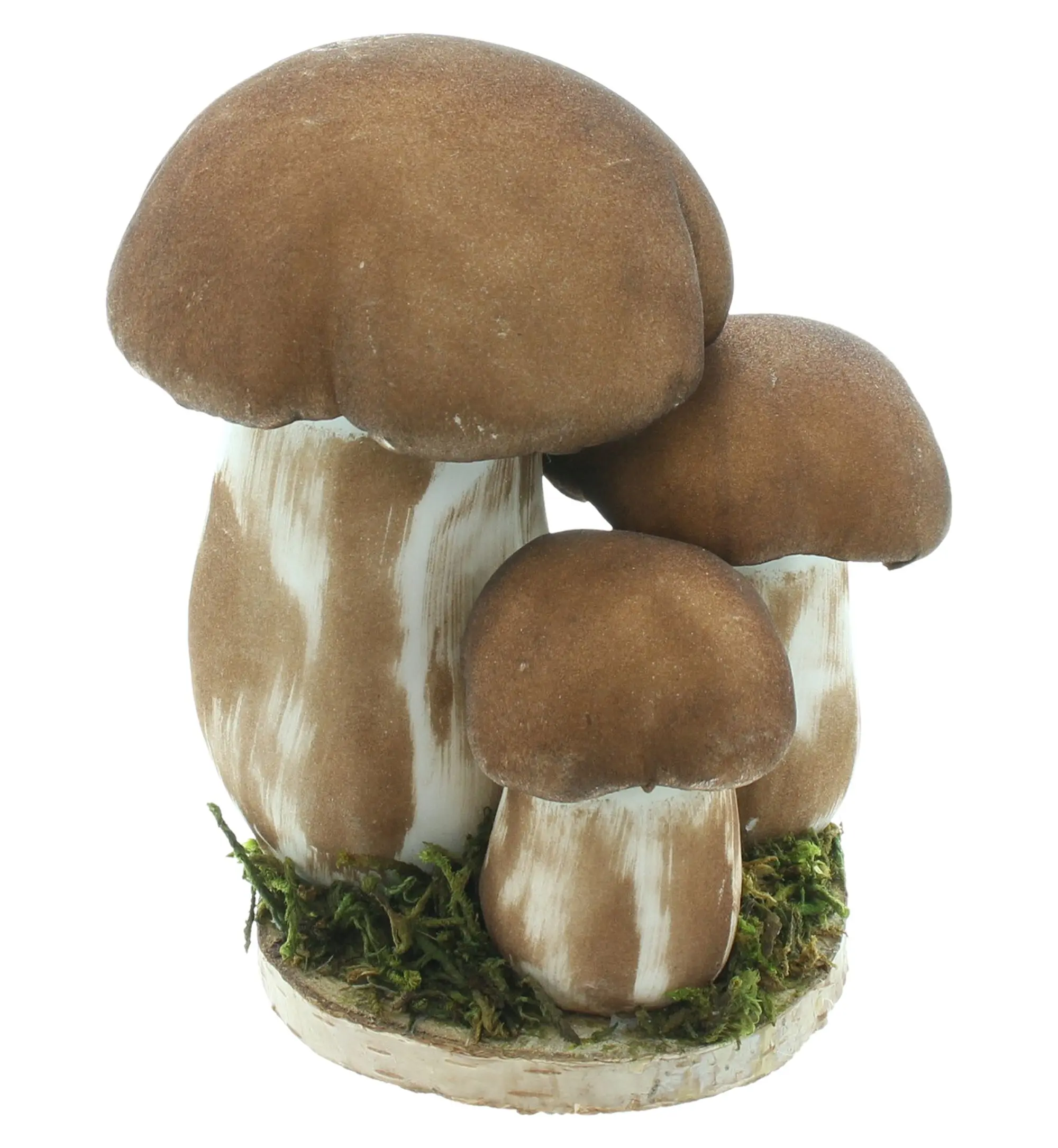 Acheter Cèpes "trio"  dans la boutique en ligne de Frank Flechtwaren pour Champignons