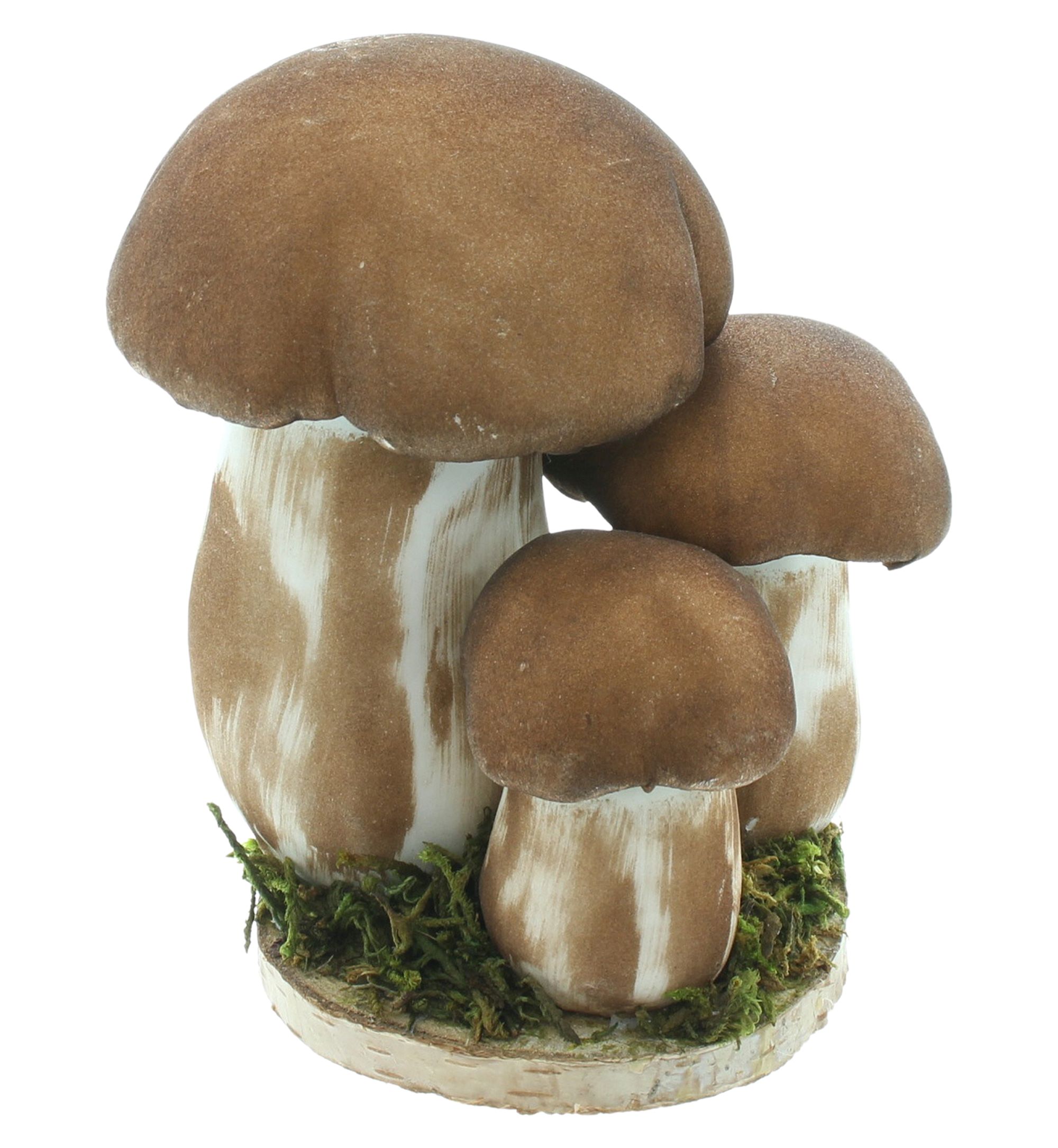 Acheter Cèpes "trio"  dans la boutique en ligne de Frank Flechtwaren pour Automne