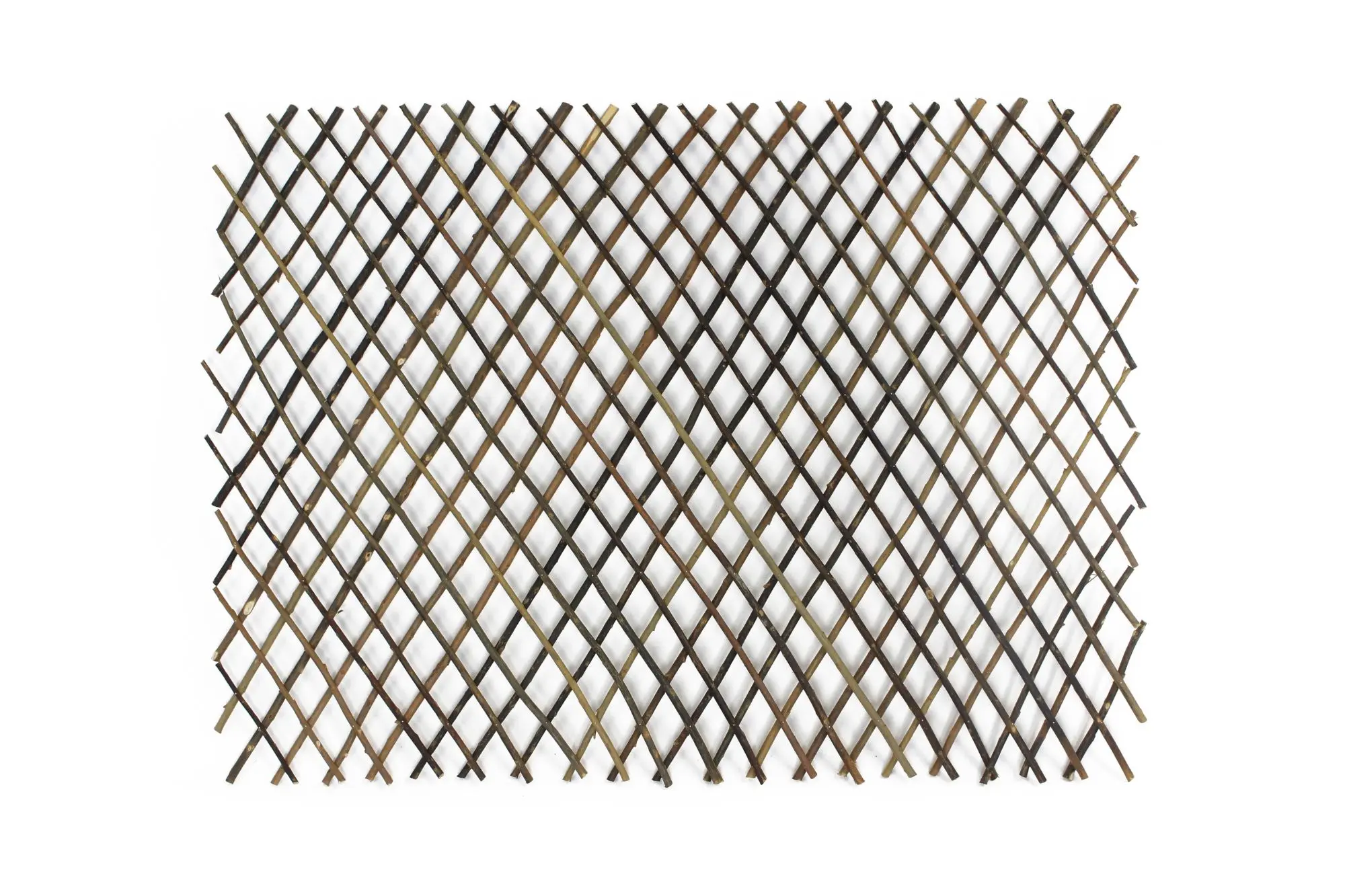 Acheter Treillis, extensible  dans la boutique en ligne de Frank Flechtwaren pour Treillis &amp; arceaux