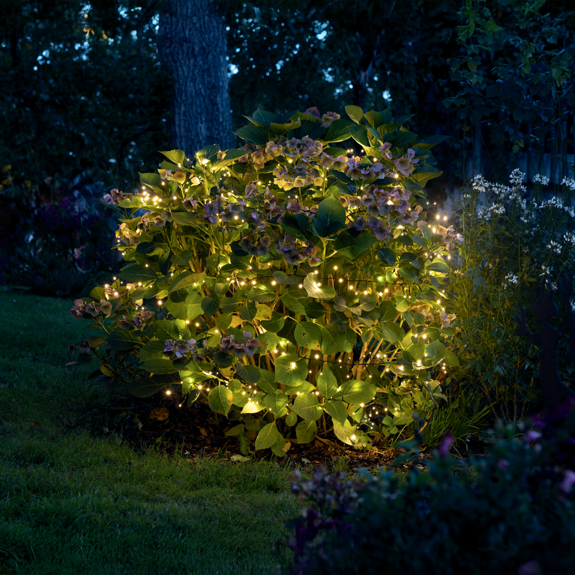 Acheter Guirlande LED "3D"  dans la boutique en ligne de Frank Flechtwaren