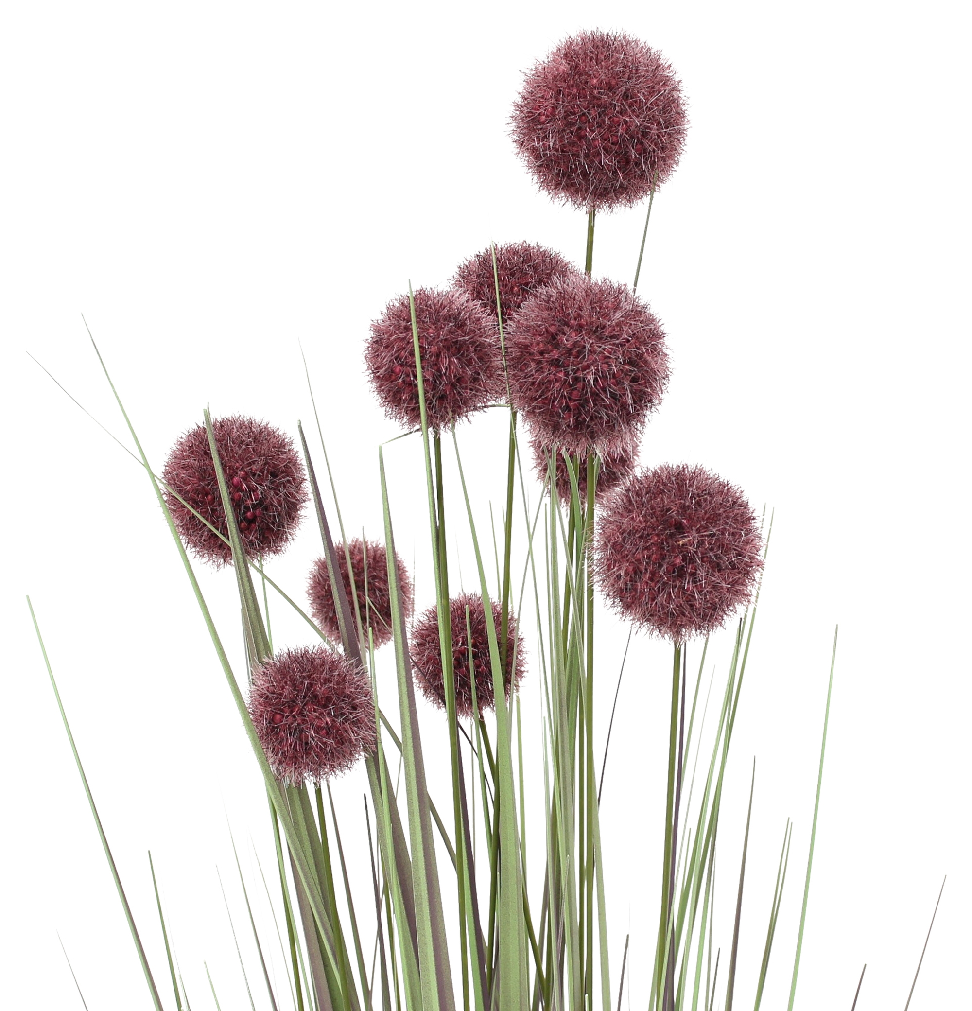 Acheter Plante en pot "Allium"  dans la boutique en ligne de Frank Flechtwaren pour Plantes artificielles