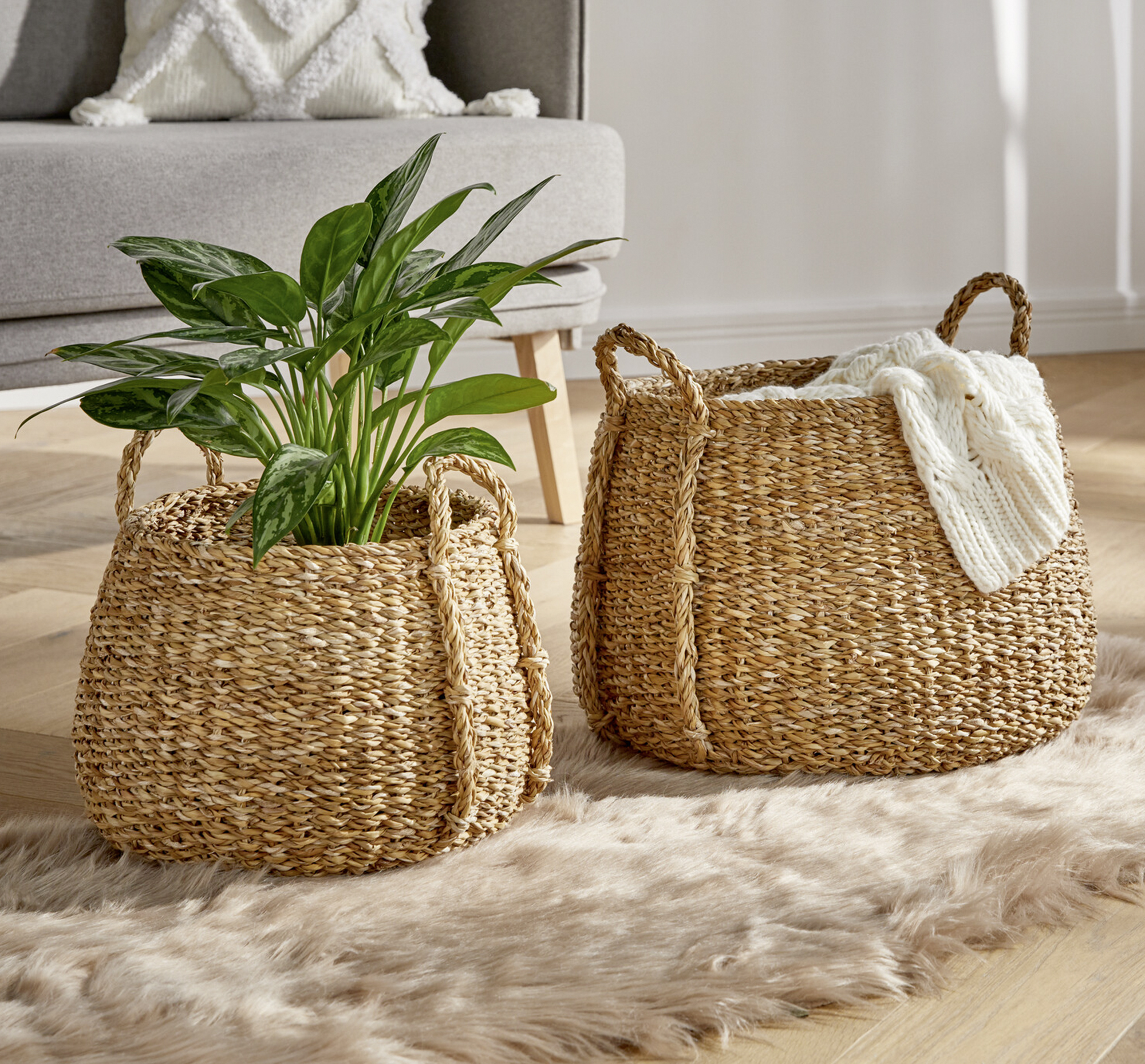 Acheter Lot de 2 corbeilles de rangement "zostère"  dans la boutique en ligne de Frank Flechtwaren