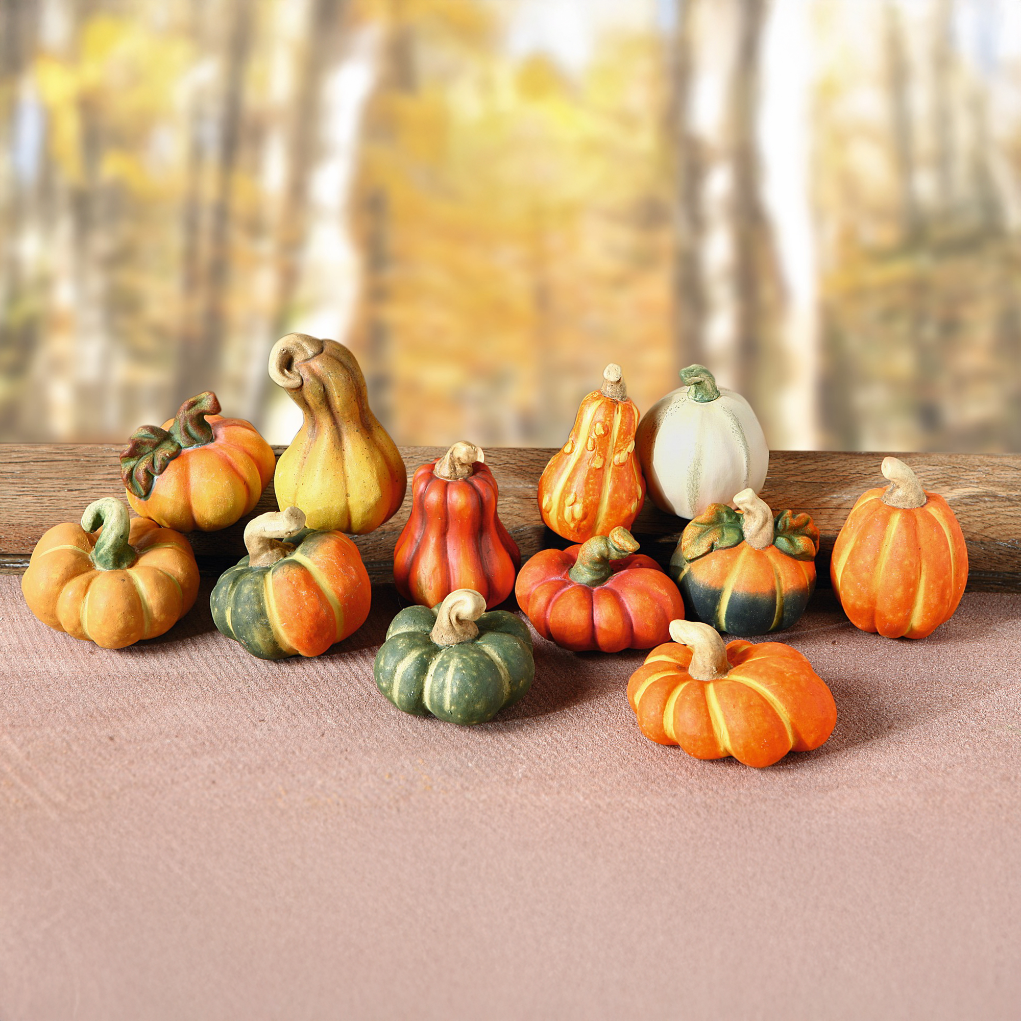 Acheter Lot de 12 citrouilles en terre cuite  dans la boutique en ligne de Frank Flechtwaren