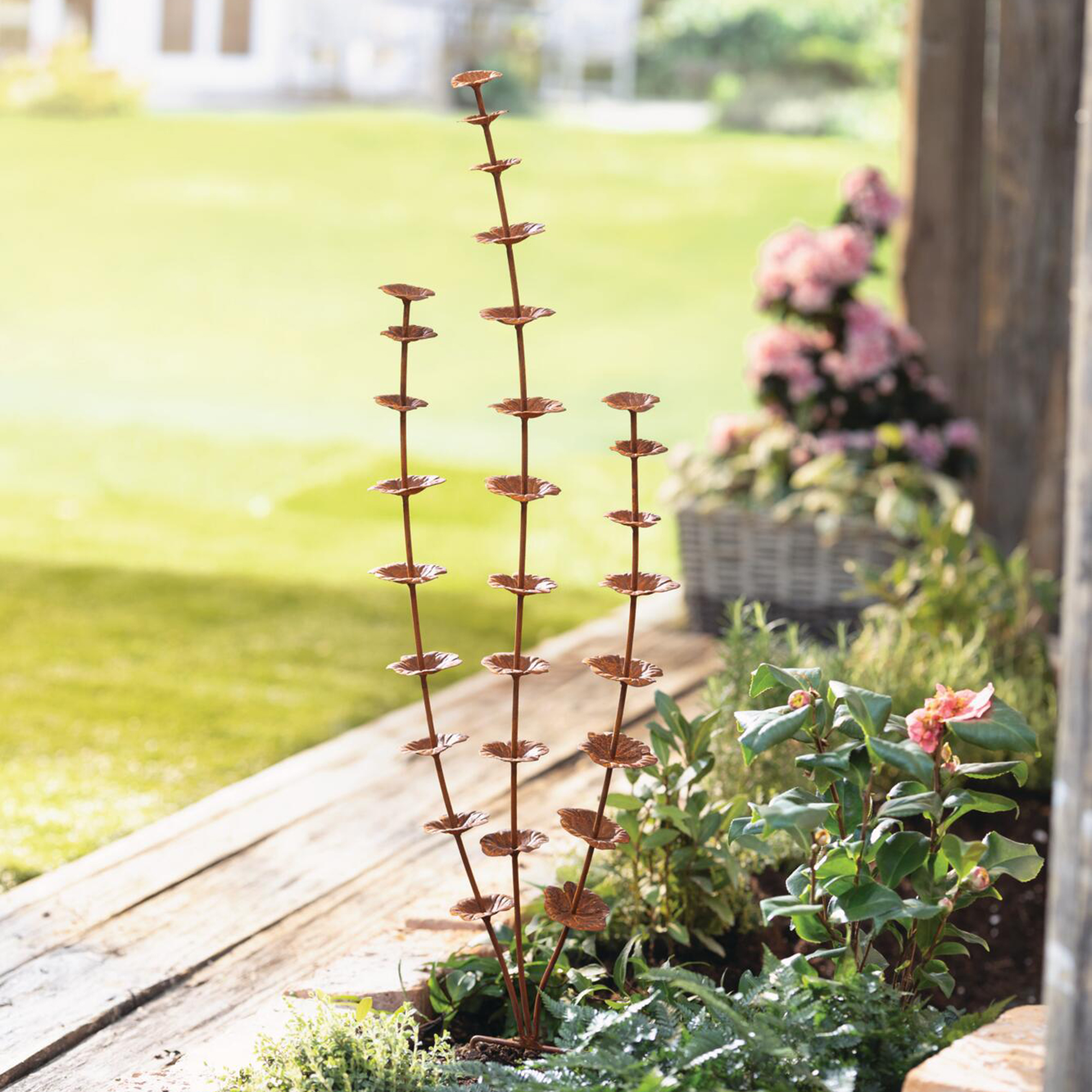 Acheter Pic de jardin "plantes vivaces"  dans la boutique en ligne de Frank Flechtwaren pour Nouvel arrivage