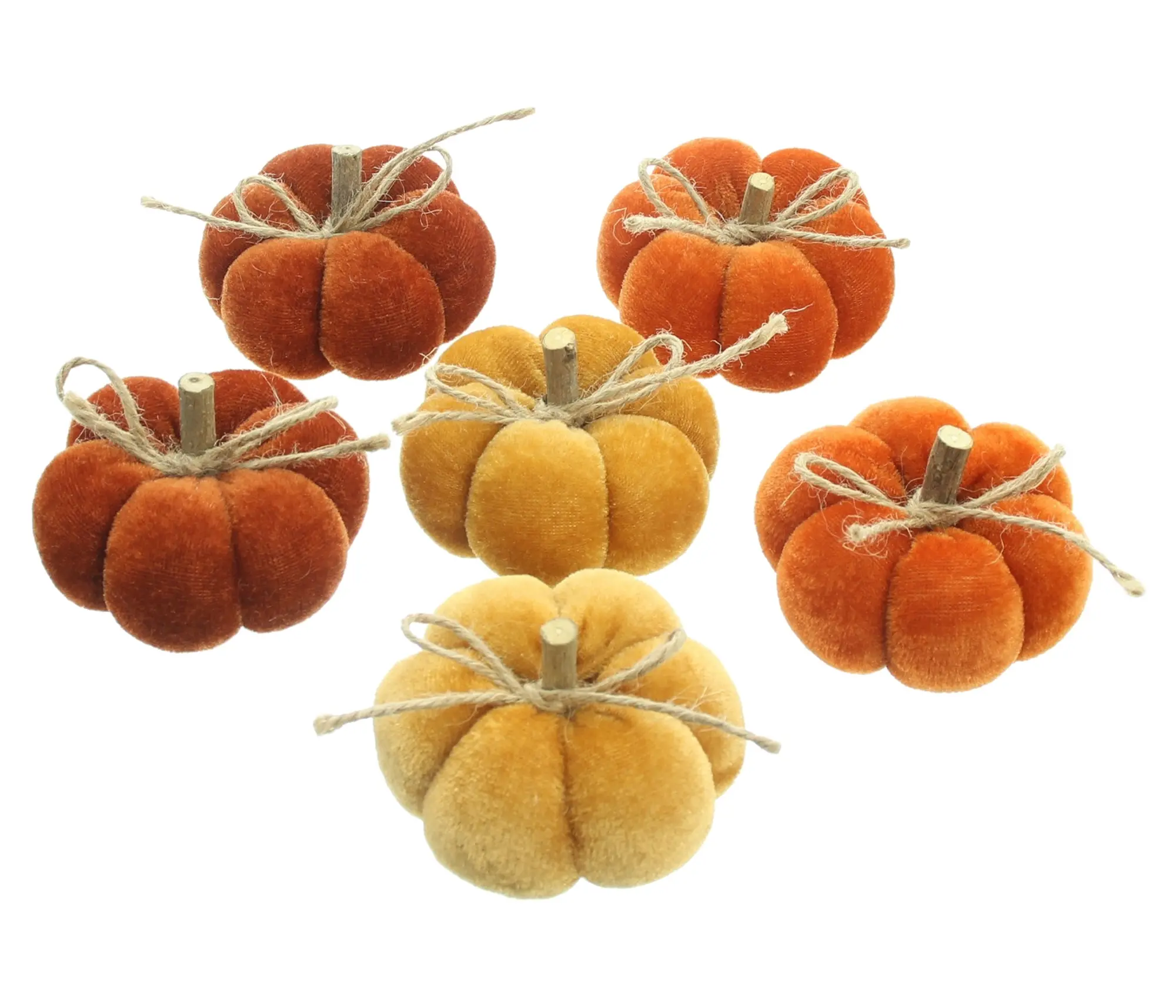 Acheter Lot de 6 citrouilles "couleurs d'automne"  dans la boutique en ligne de Frank Flechtwaren